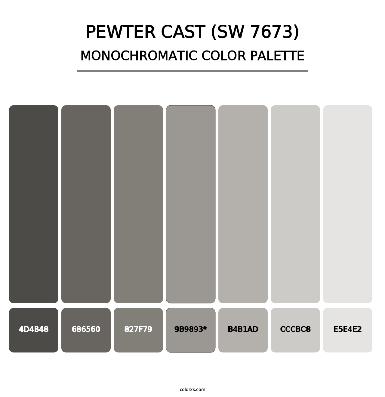 Pewter Cast (SW 7673) - Monochromatic Color Palette