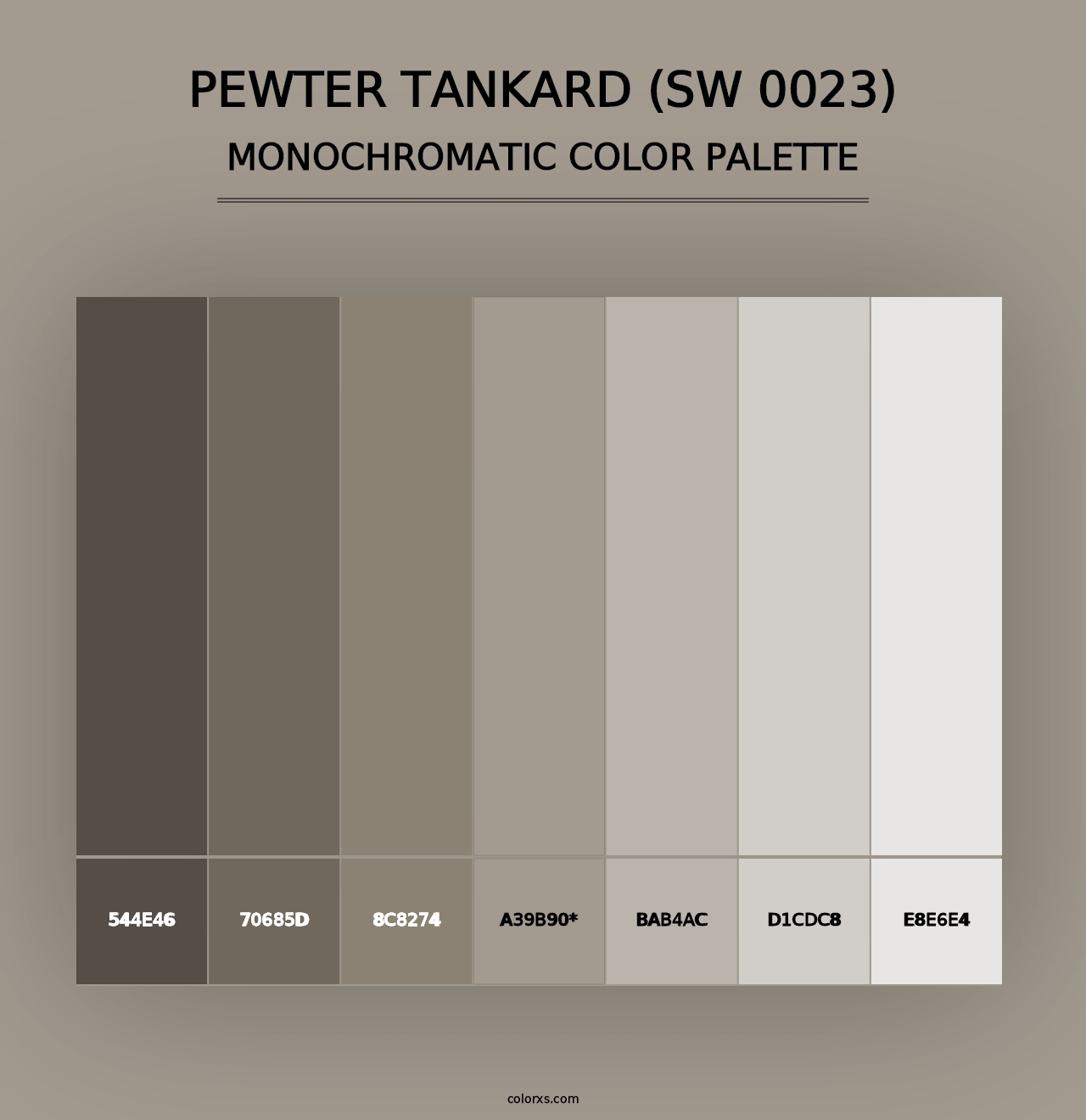 Pewter Tankard (SW 0023) - Monochromatic Color Palette