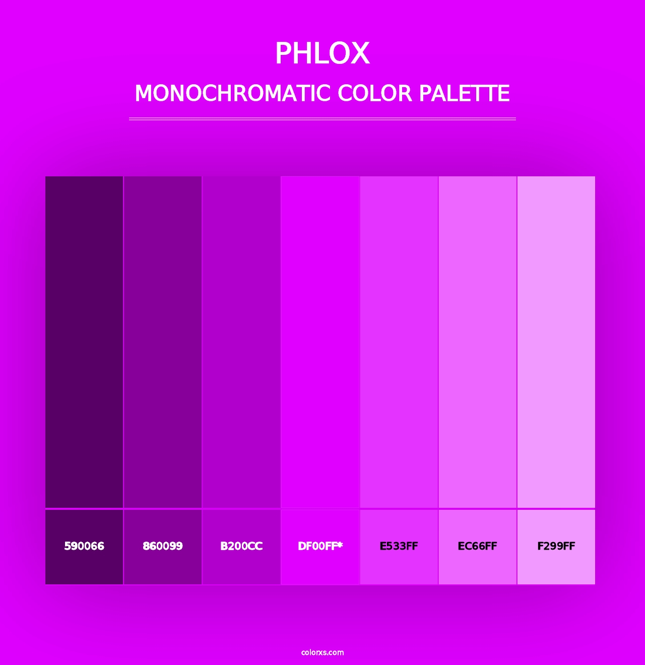 Phlox - Monochromatic Color Palette