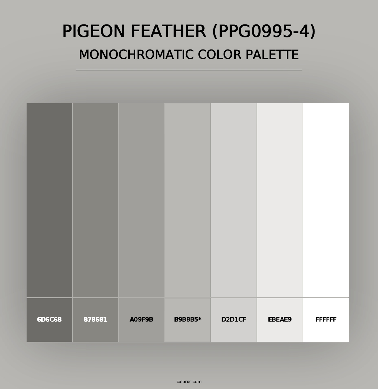 Pigeon Feather (PPG0995-4) - Monochromatic Color Palette