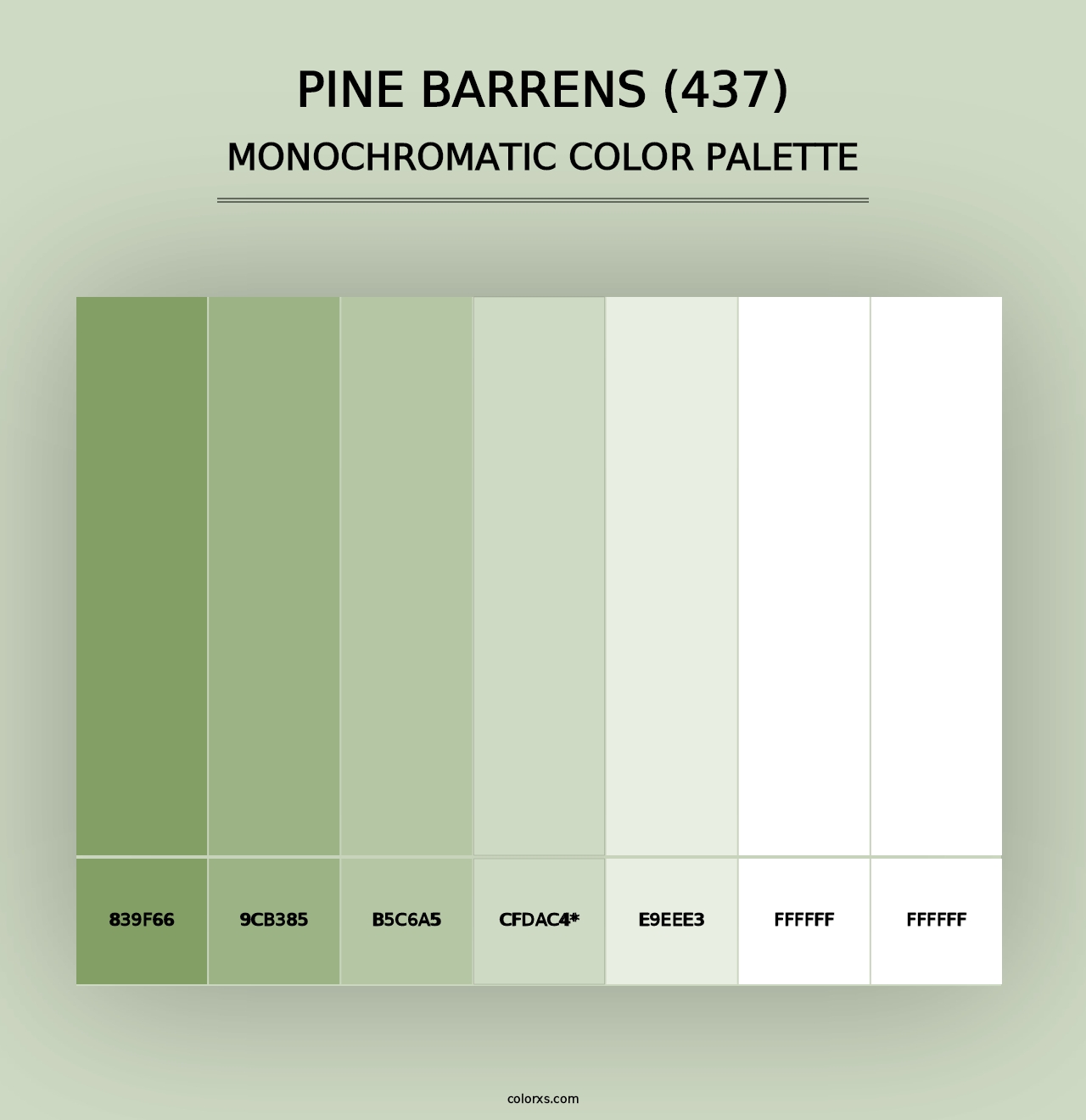 Pine Barrens (437) - Monochromatic Color Palette