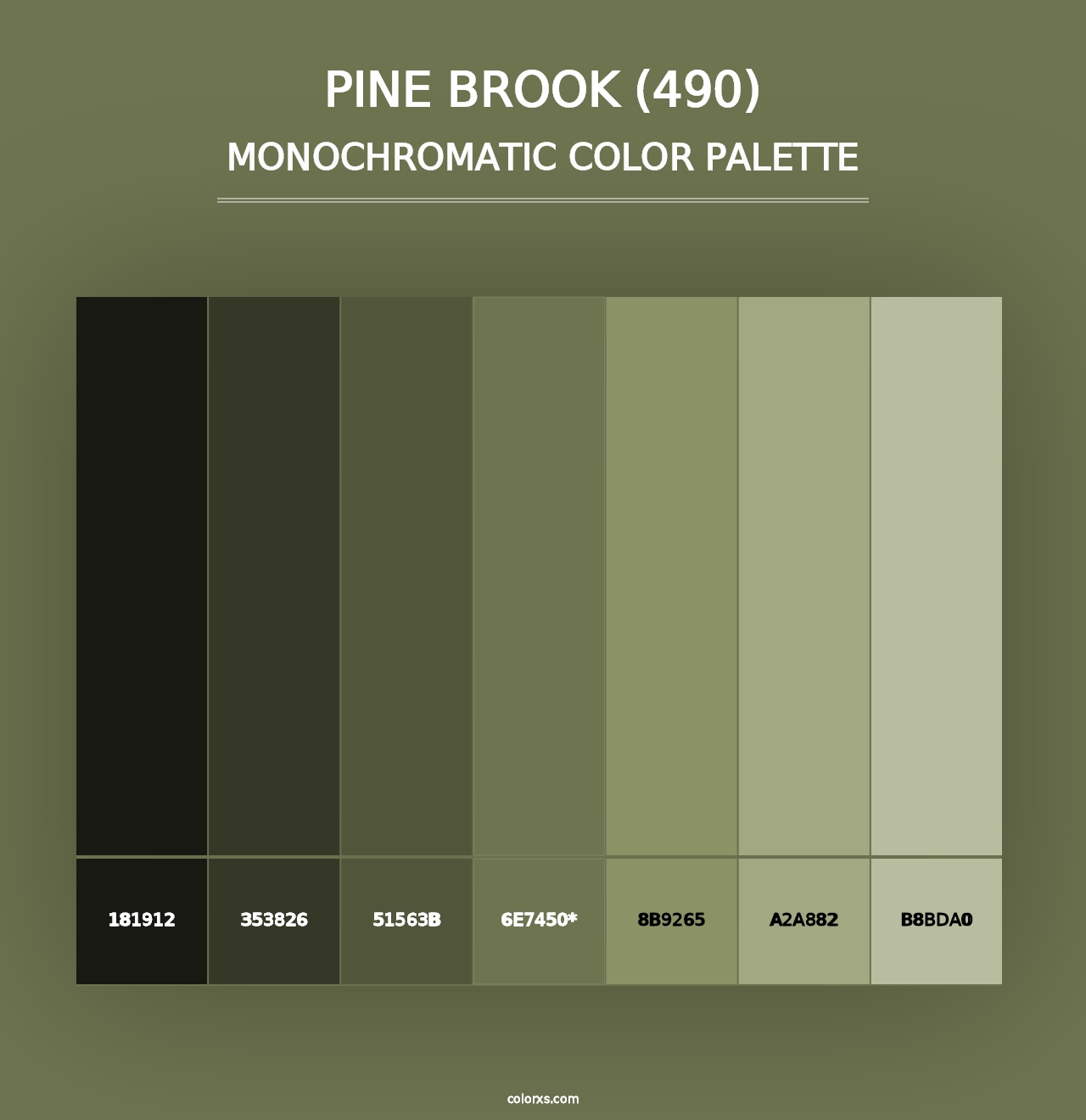 Pine Brook (490) - Monochromatic Color Palette