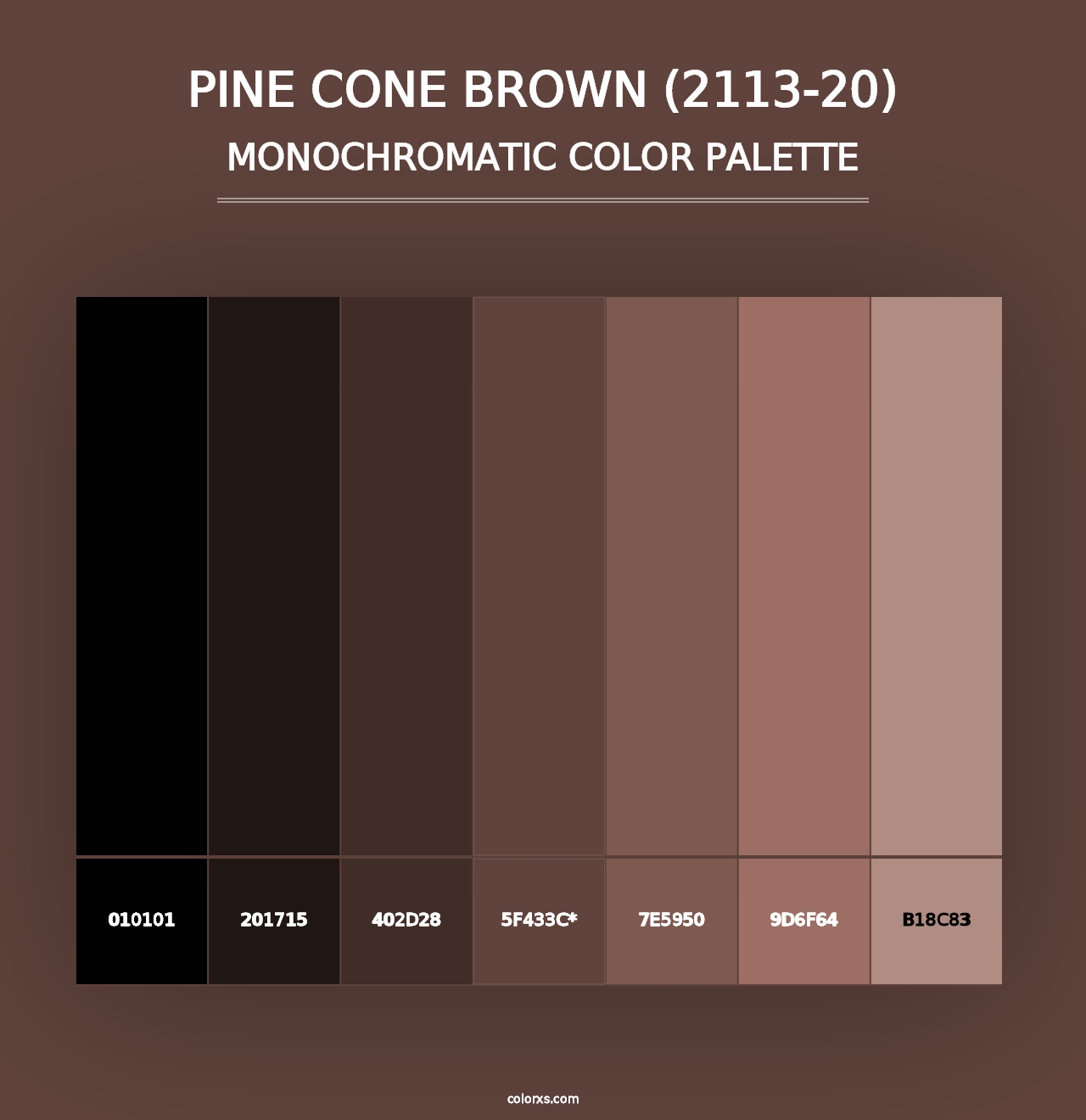 Pine Cone Brown (2113-20) - Monochromatic Color Palette