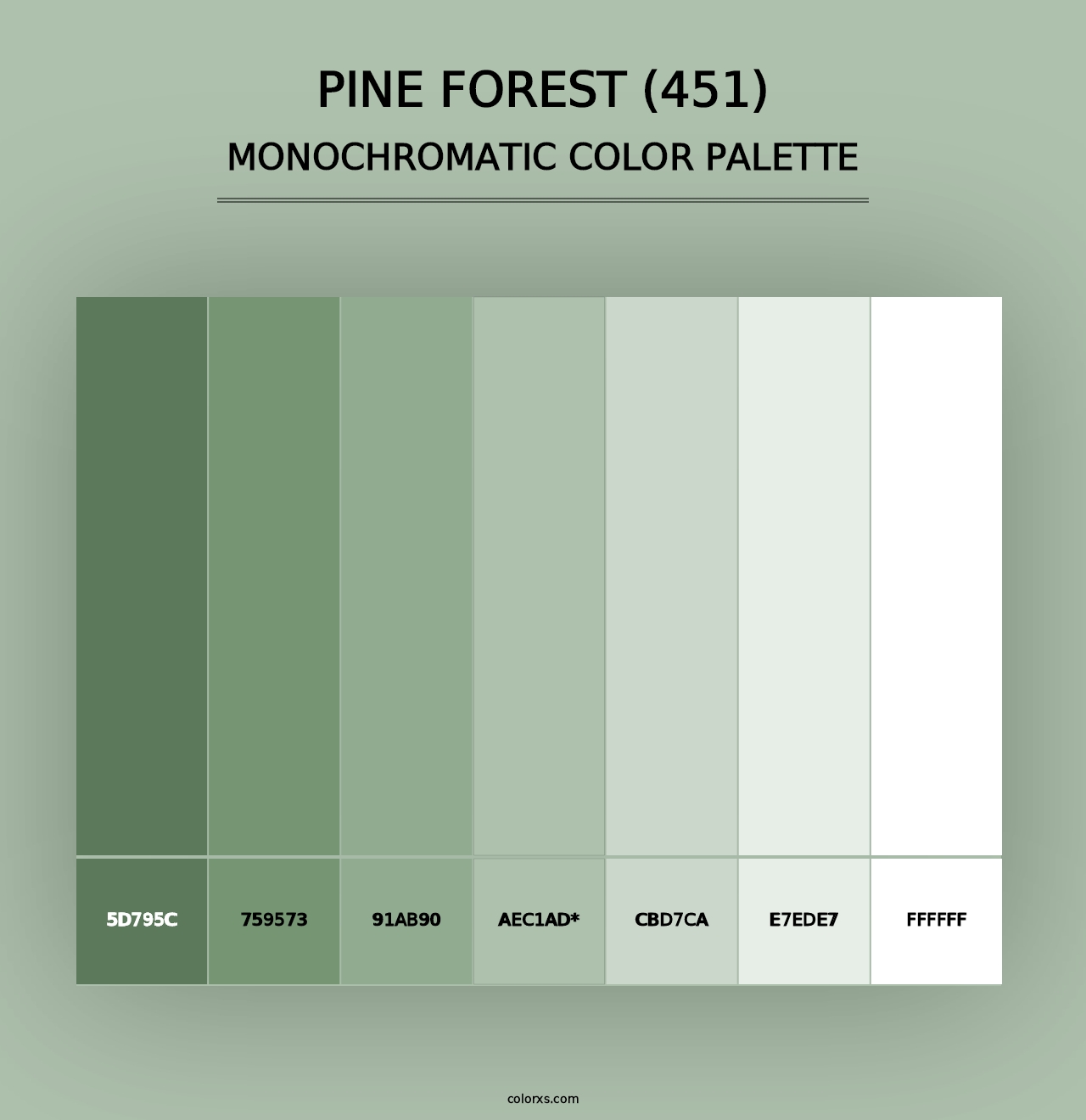 Pine Forest (451) - Monochromatic Color Palette