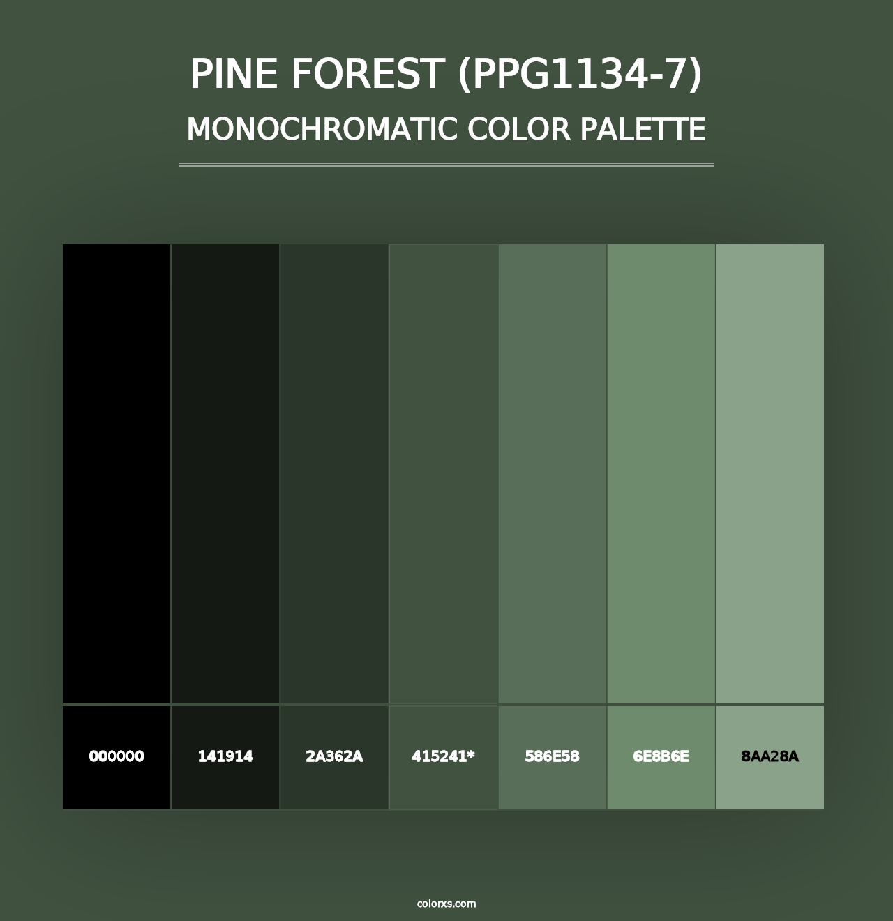 Pine Forest (PPG1134-7) - Monochromatic Color Palette