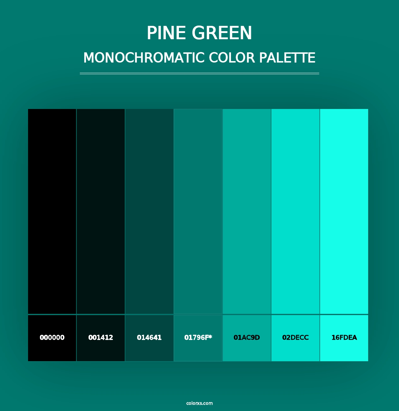 Pine Green - Monochromatic Color Palette