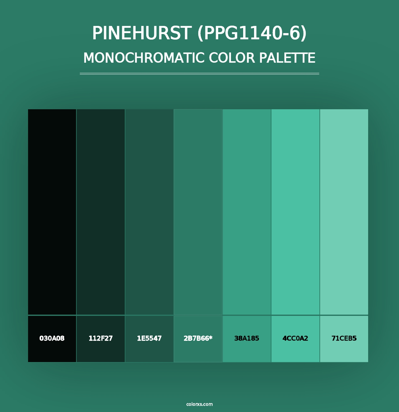 Pinehurst (PPG1140-6) - Monochromatic Color Palette