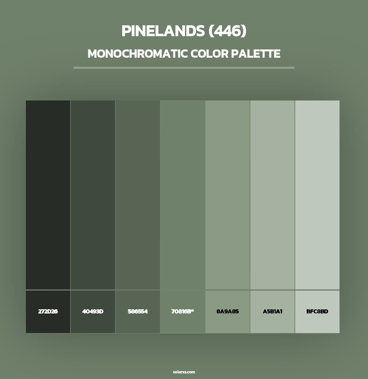 Pinelands (446) - Monochromatic Color Palette