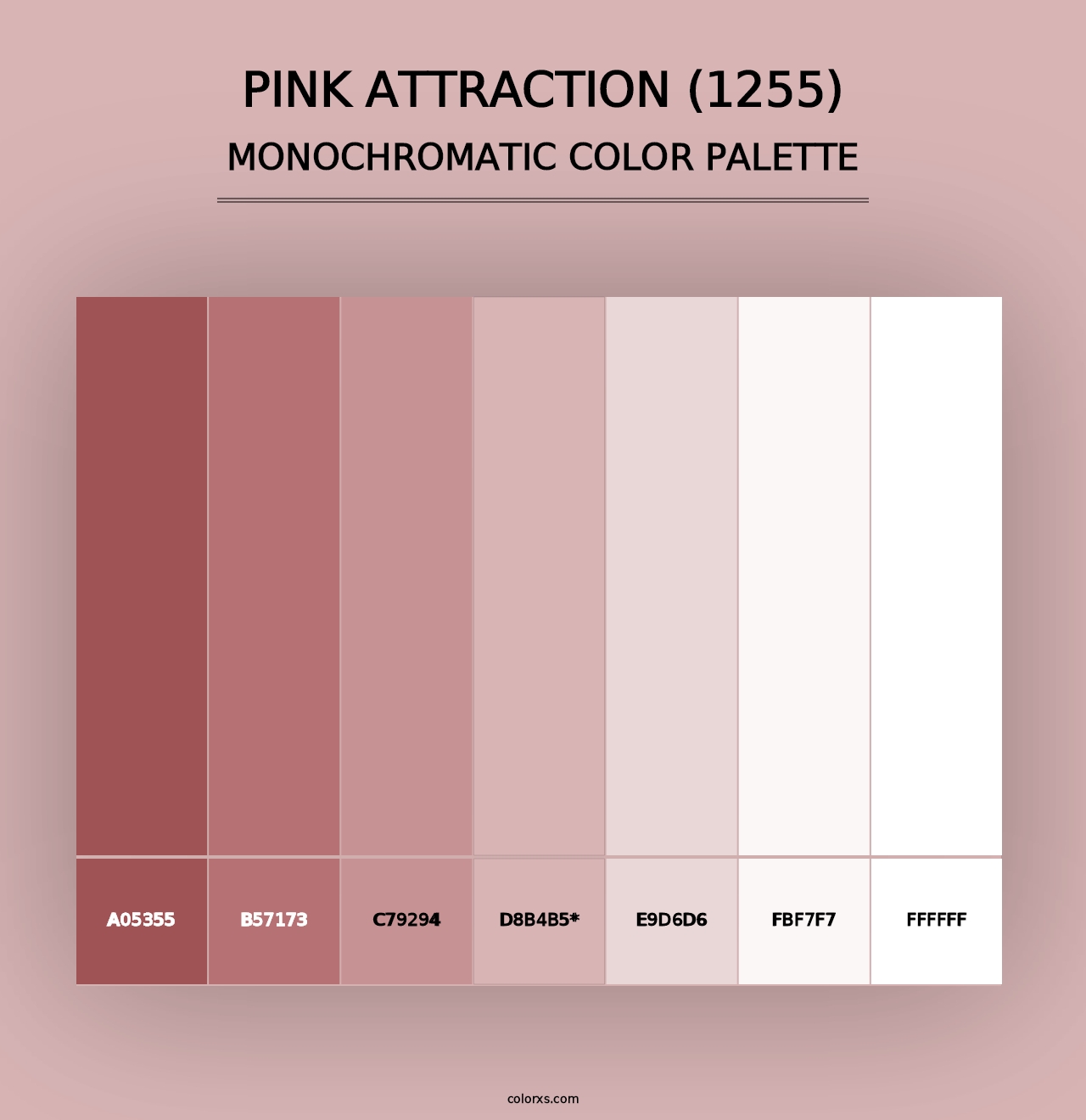 Pink Attraction (1255) - Monochromatic Color Palette