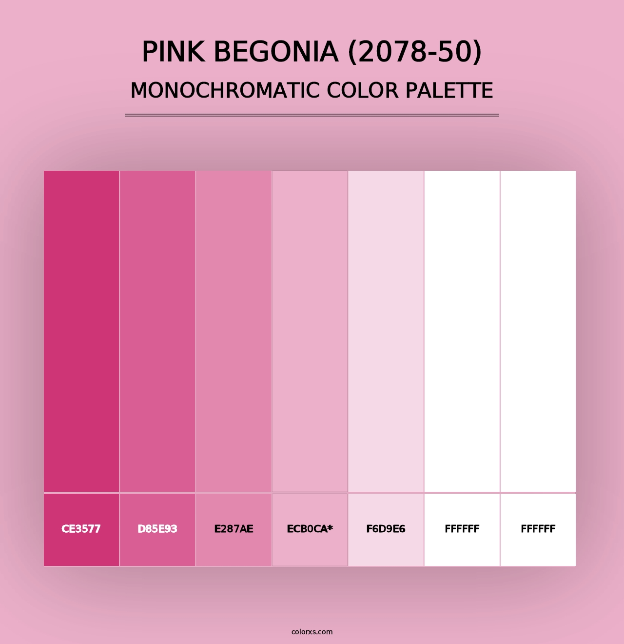 Pink Begonia (2078-50) - Monochromatic Color Palette