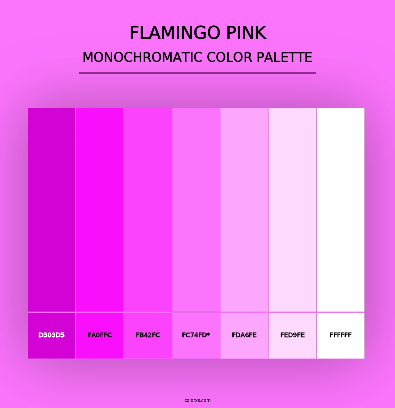 Flamingo Pink - Monochromatic Color Palette