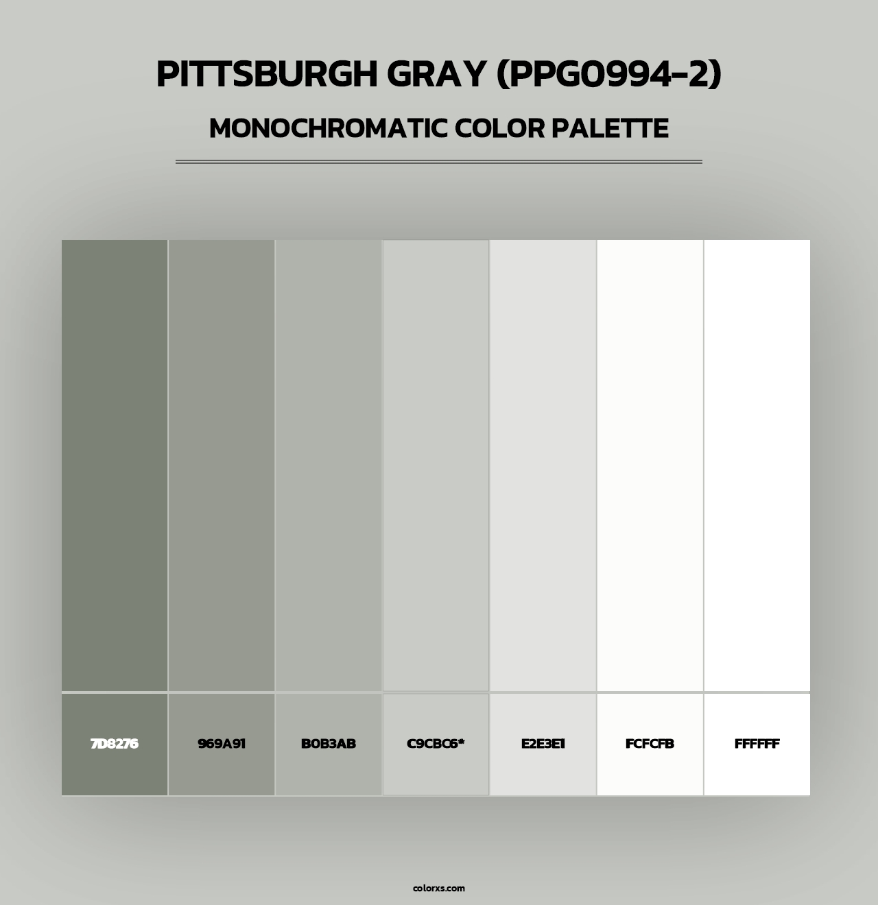 Pittsburgh Gray (PPG0994-2) - Monochromatic Color Palette