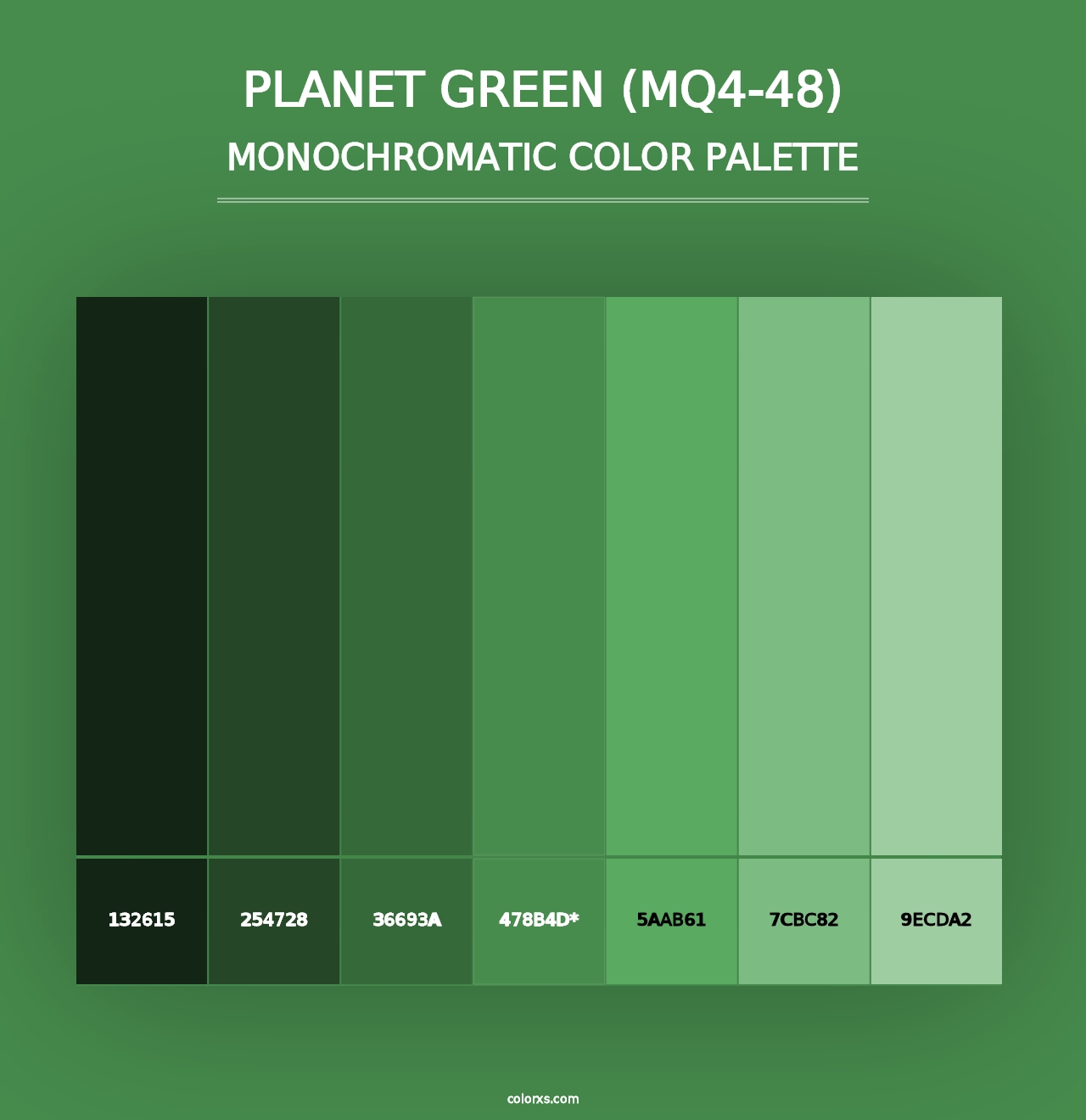 Planet Green (MQ4-48) - Monochromatic Color Palette