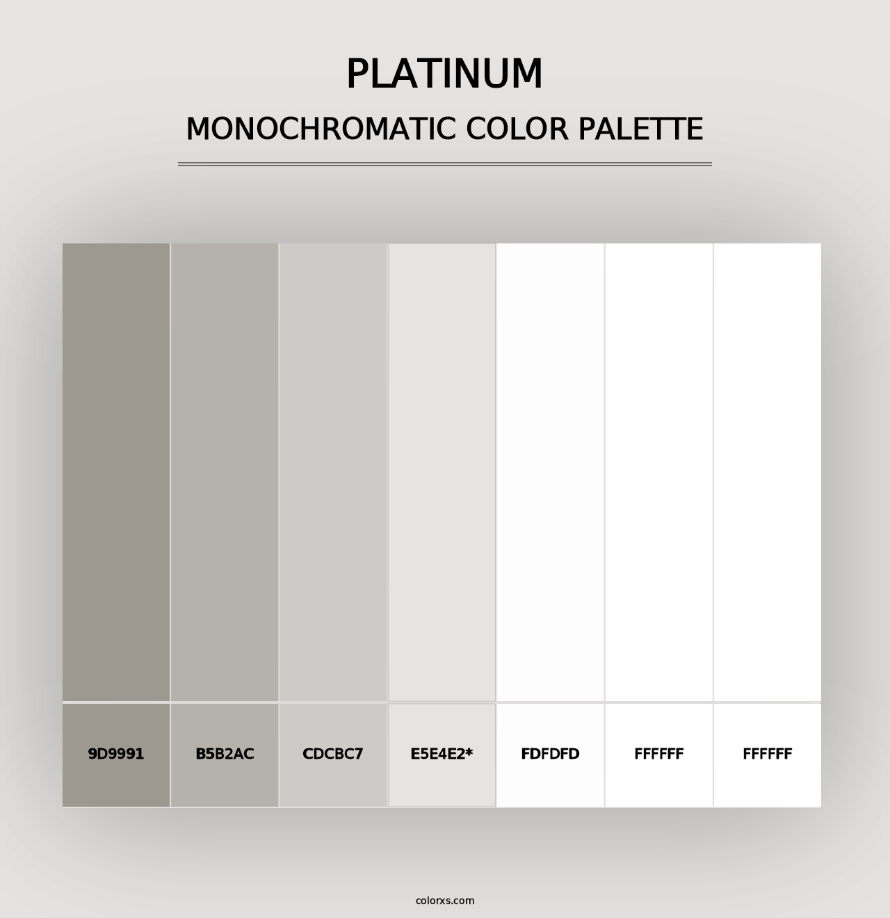 Platinum - Monochromatic Color Palette