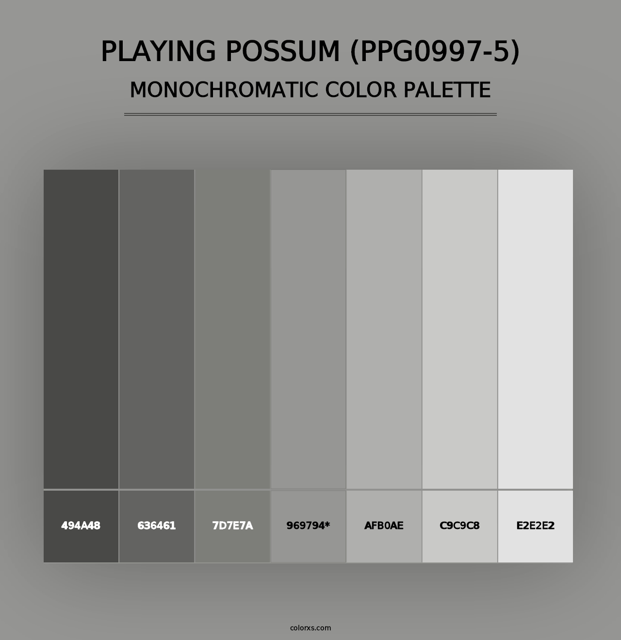 Playing Possum (PPG0997-5) - Monochromatic Color Palette