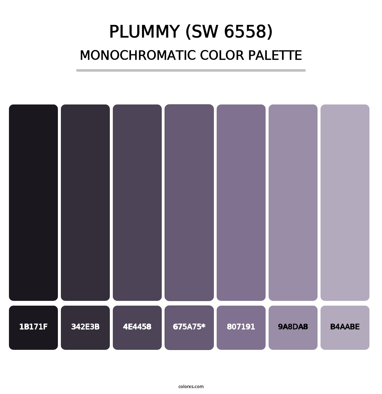 Plummy (SW 6558) - Monochromatic Color Palette