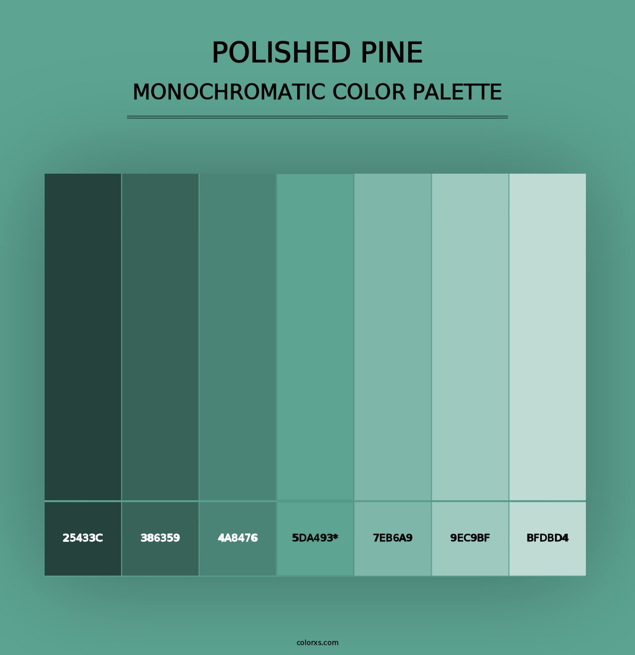 Polished Pine - Monochromatic Color Palette