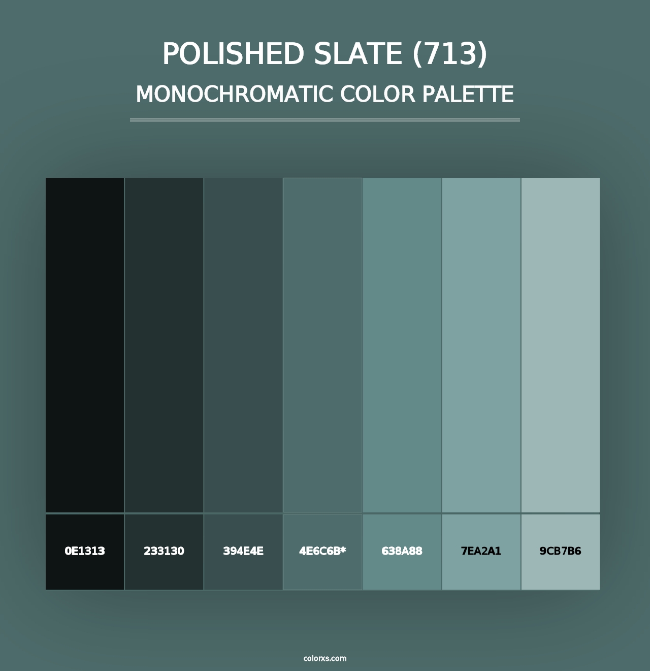 Polished Slate (713) - Monochromatic Color Palette