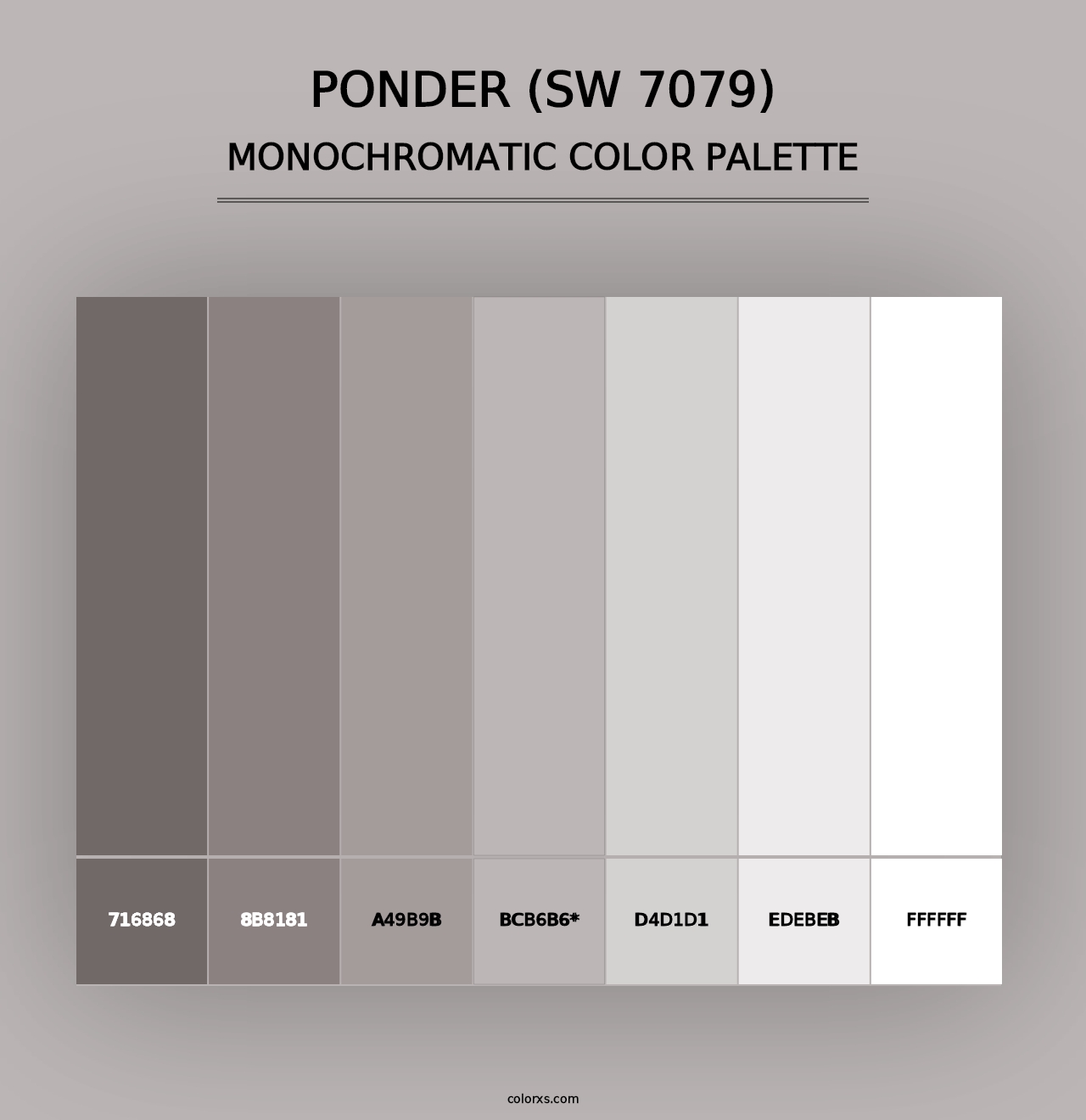 Ponder (SW 7079) - Monochromatic Color Palette