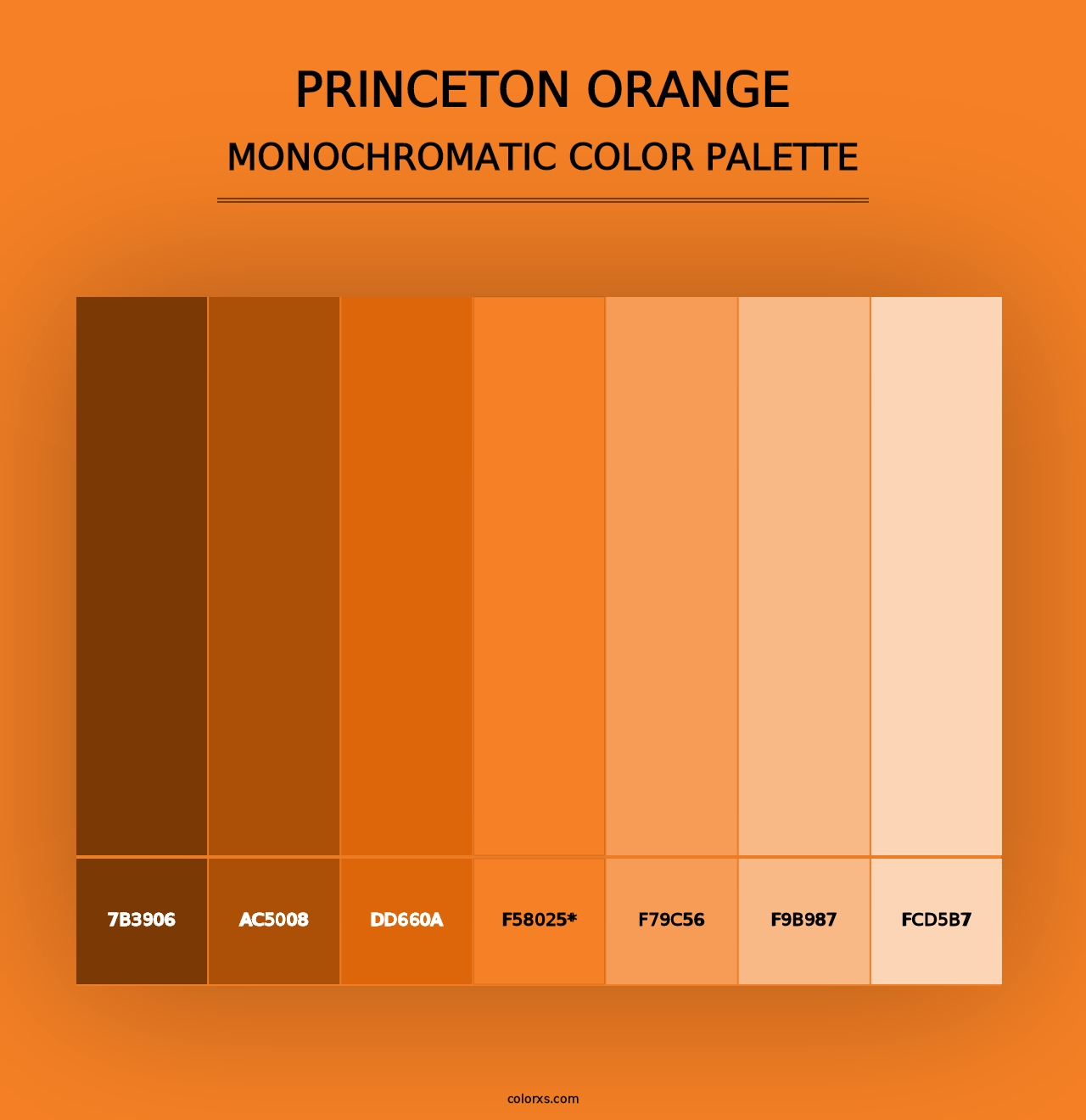 Princeton Orange - Monochromatic Color Palette