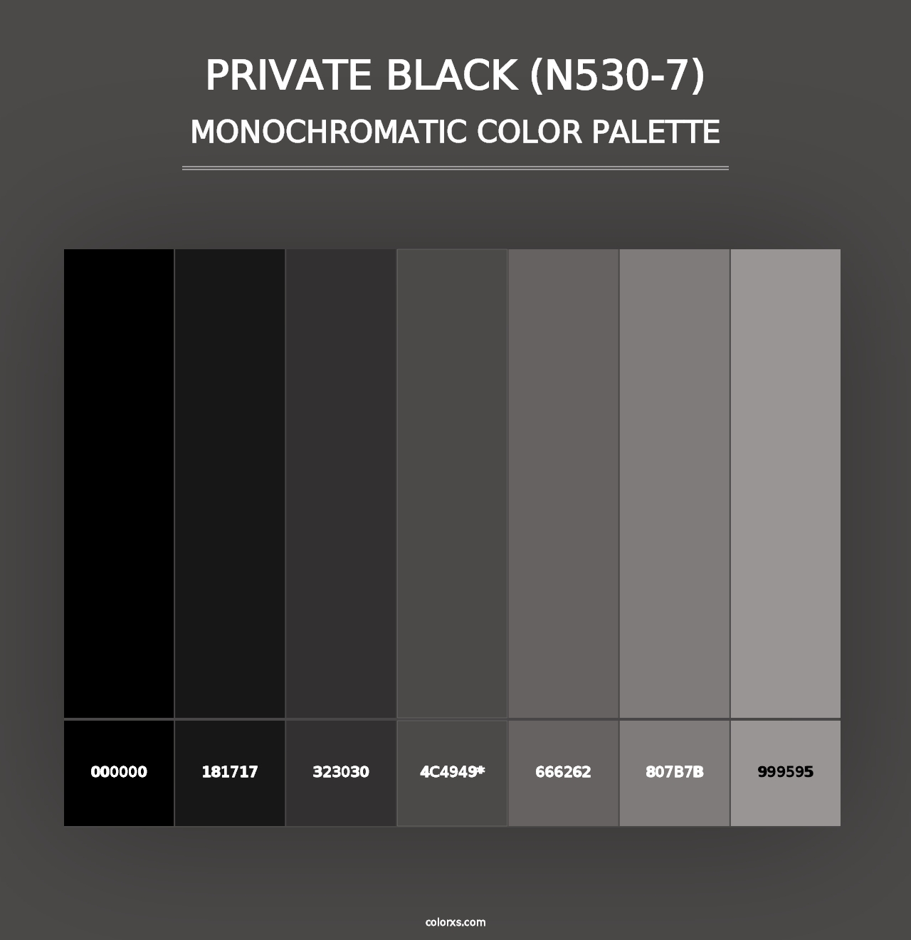 Private Black (N530-7) - Monochromatic Color Palette