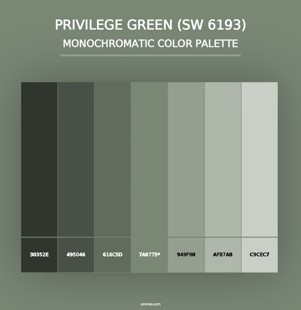 Privilege Green (SW 6193) - Monochromatic Color Palette