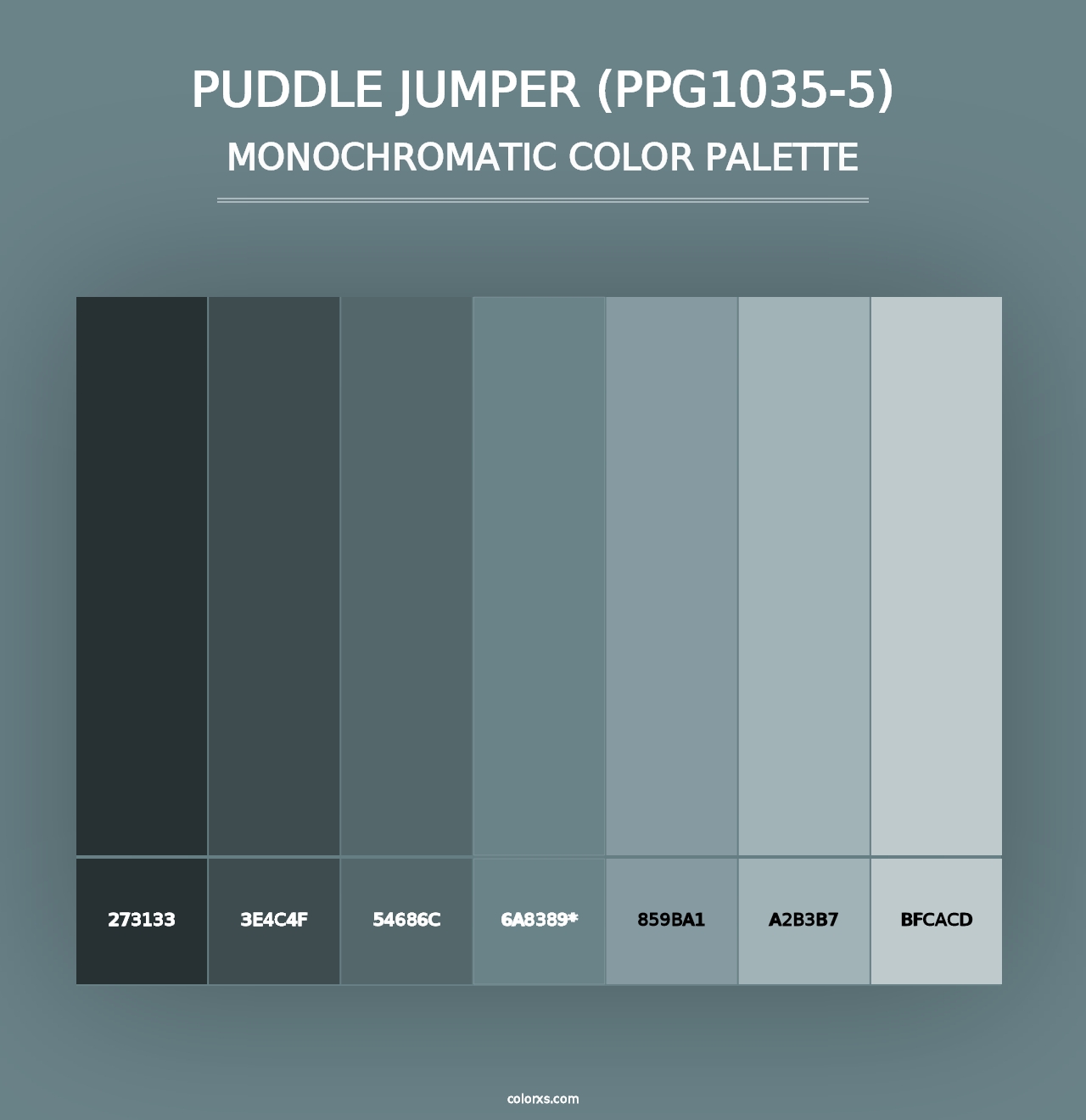 Puddle Jumper (PPG1035-5) - Monochromatic Color Palette