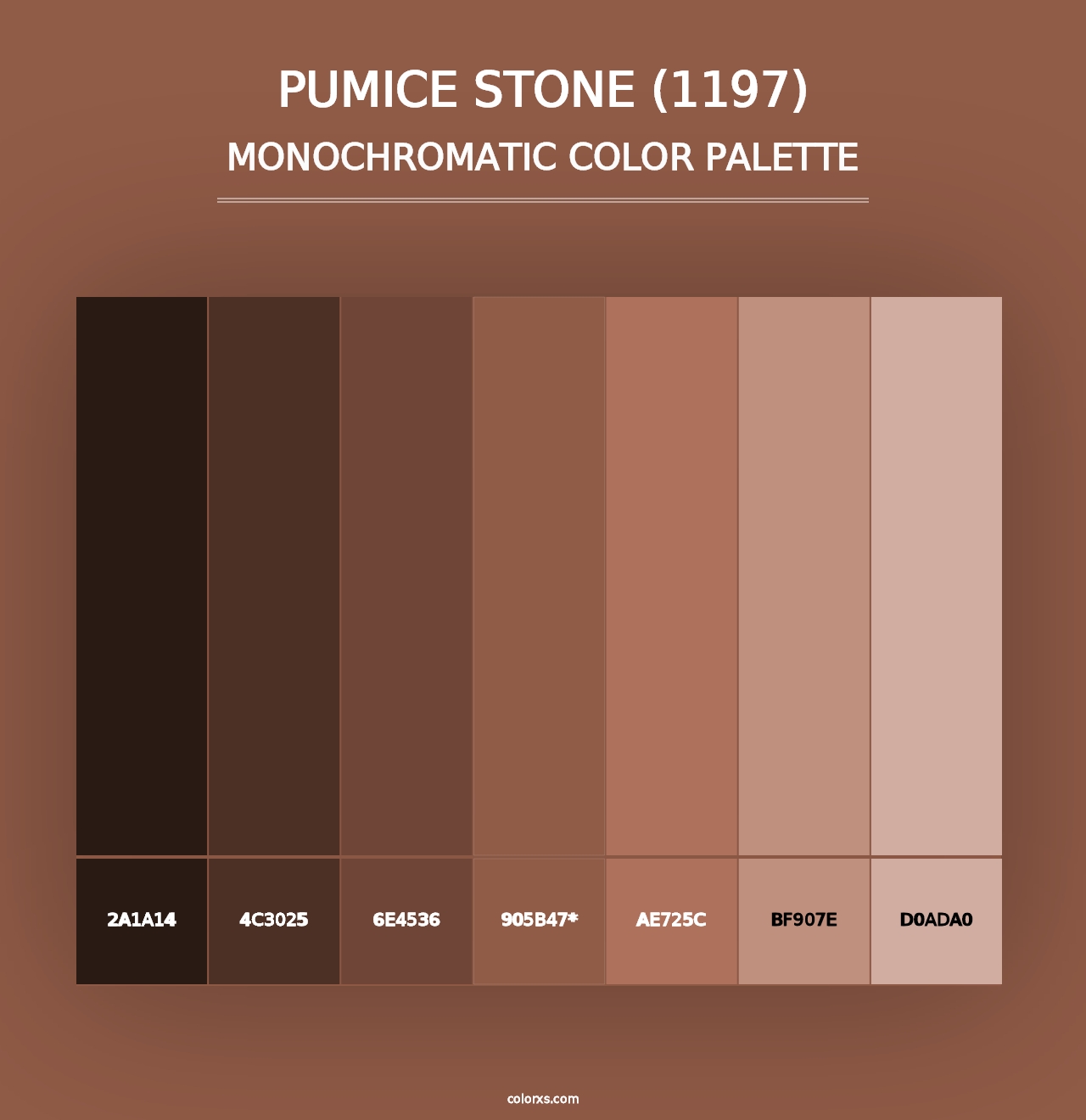 Pumice Stone (1197) - Monochromatic Color Palette