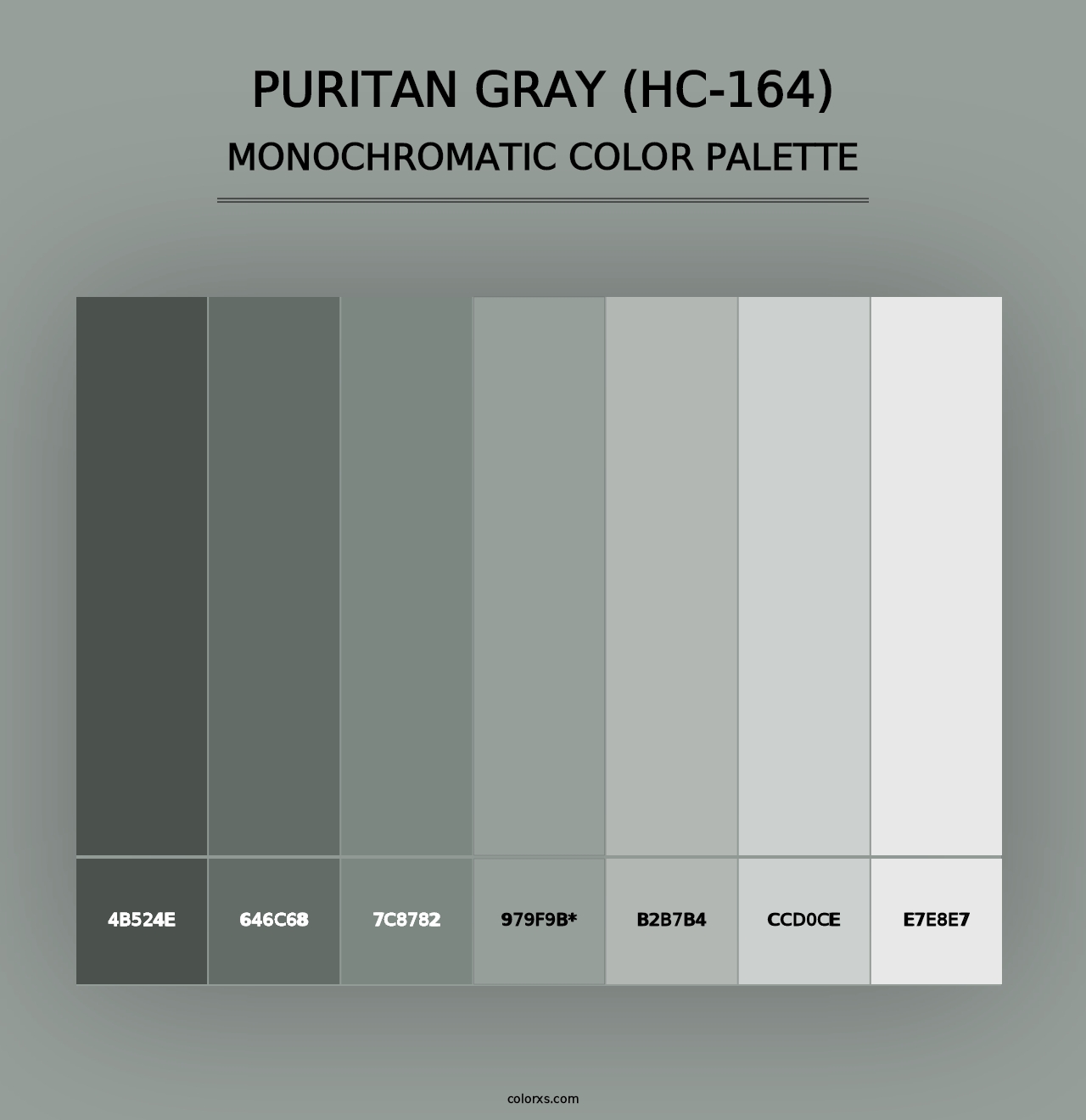 Puritan Gray (HC-164) - Monochromatic Color Palette