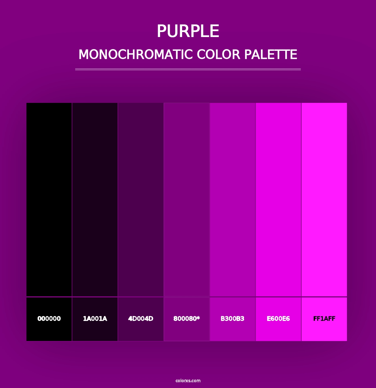 Purple - Monochromatic Color Palette