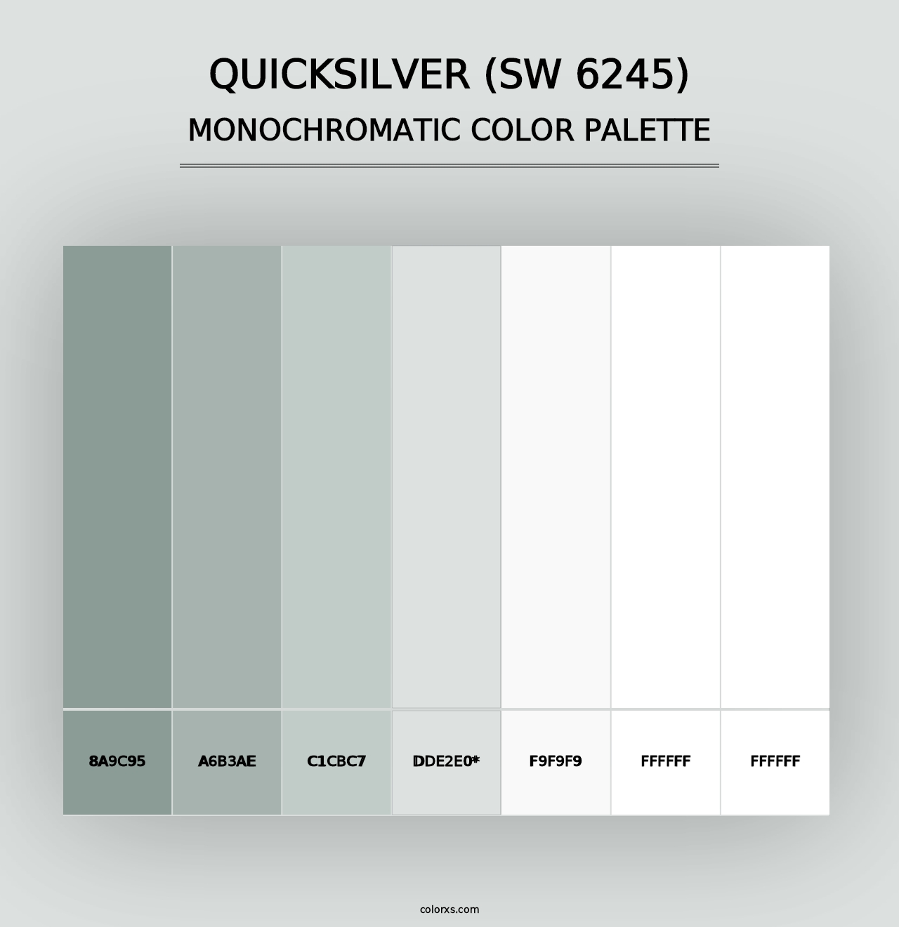 Quicksilver (SW 6245) - Monochromatic Color Palette