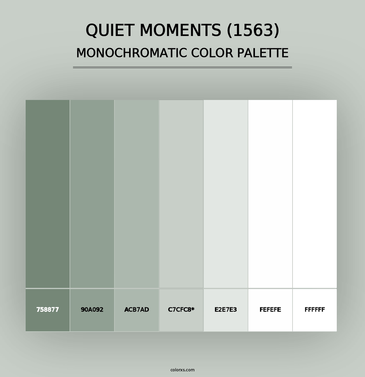 Quiet Moments (1563) - Monochromatic Color Palette