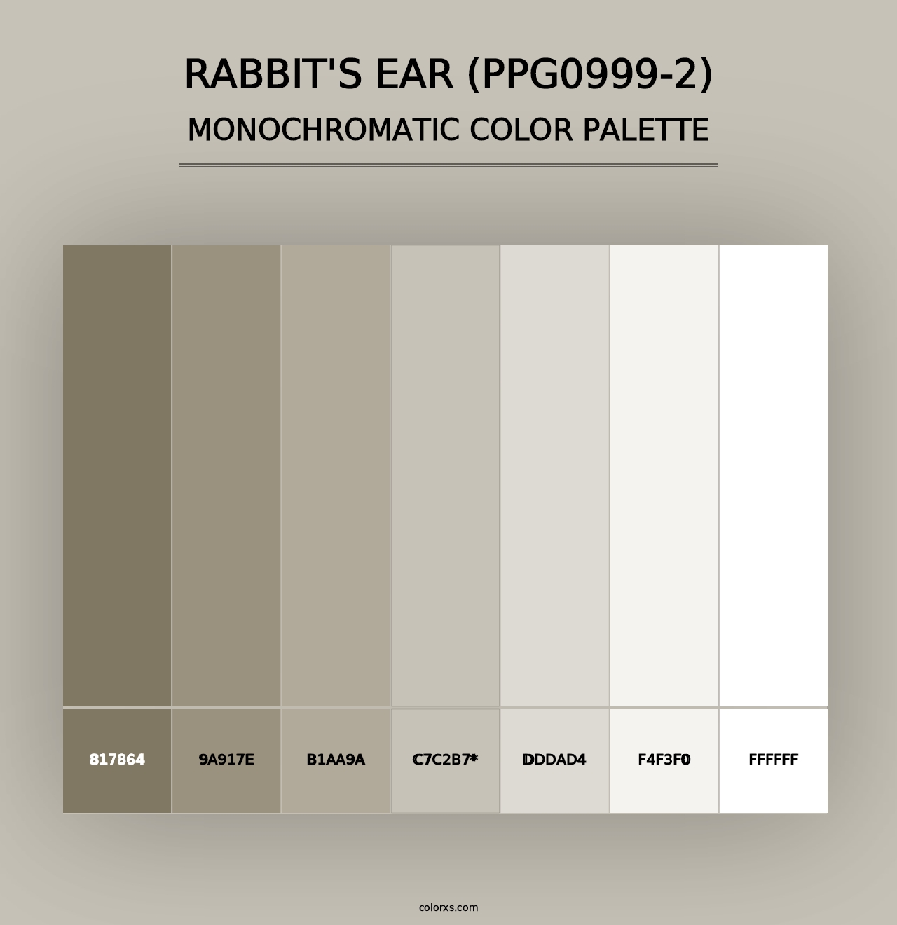 Rabbit's Ear (PPG0999-2) - Monochromatic Color Palette