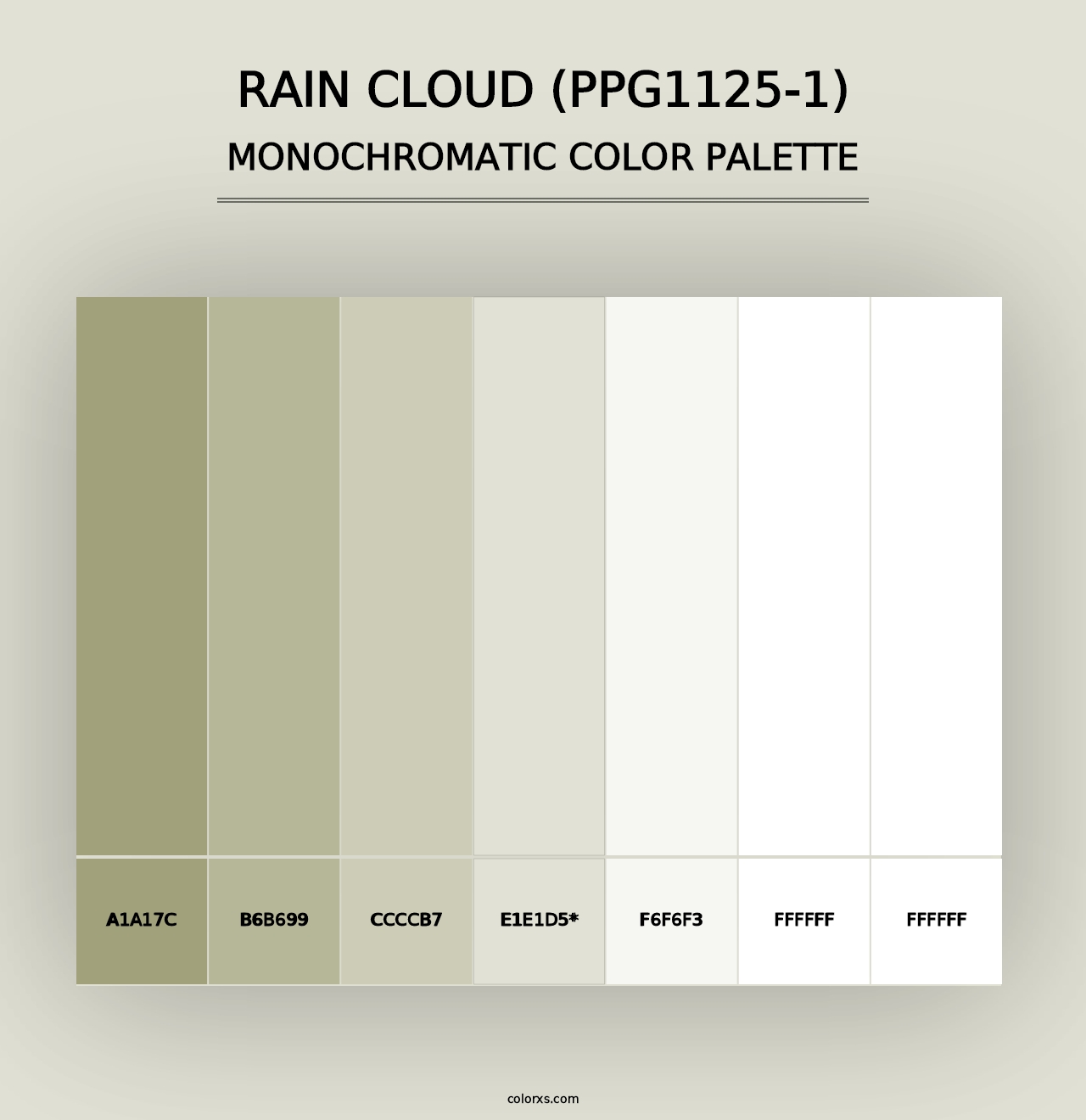 Rain Cloud (PPG1125-1) - Monochromatic Color Palette