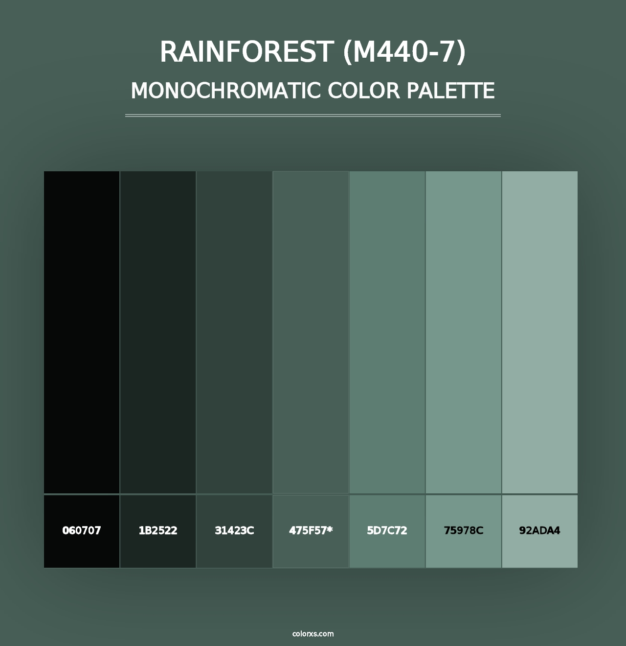 Rainforest (M440-7) - Monochromatic Color Palette