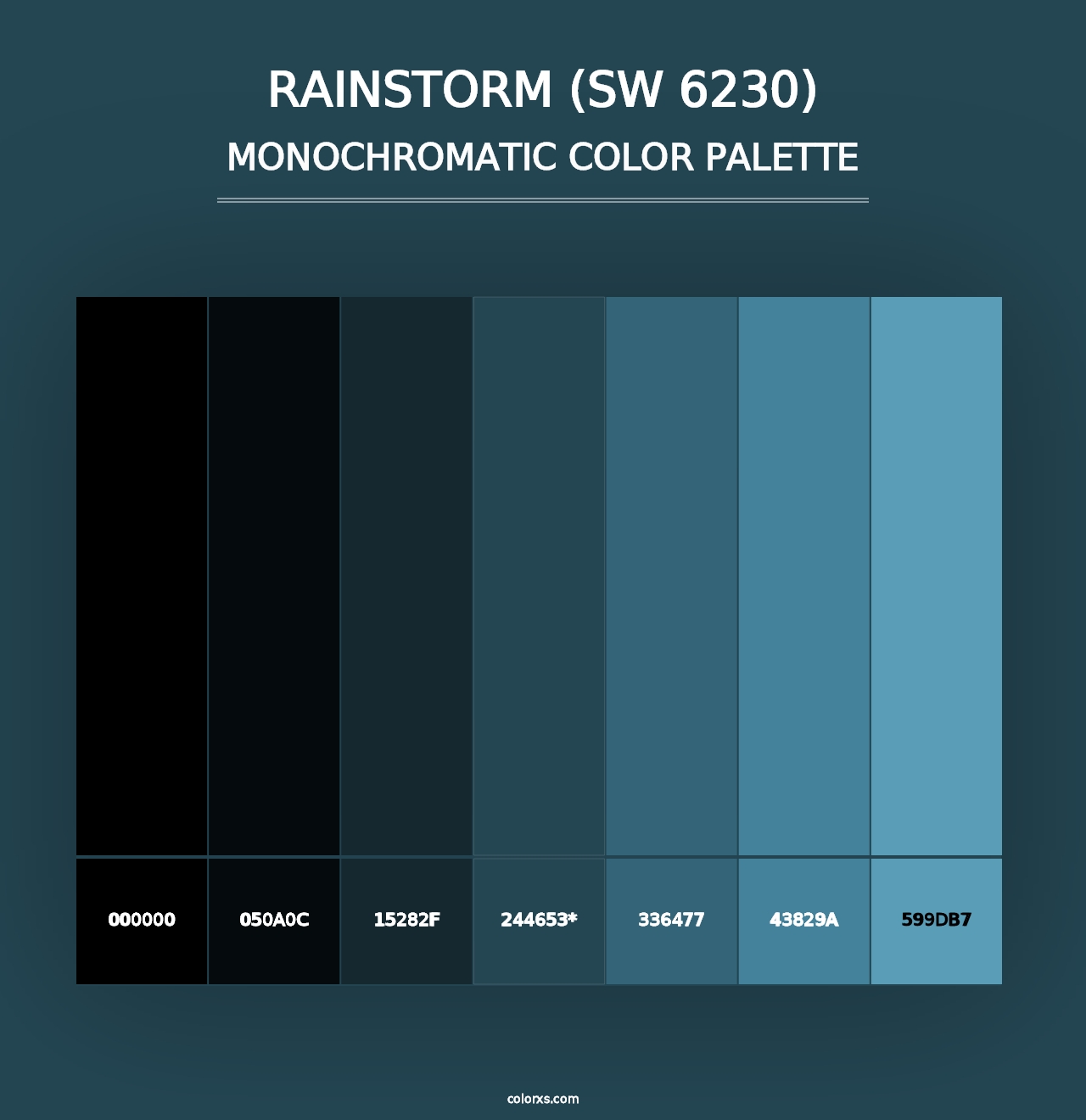 Rainstorm (SW 6230) - Monochromatic Color Palette