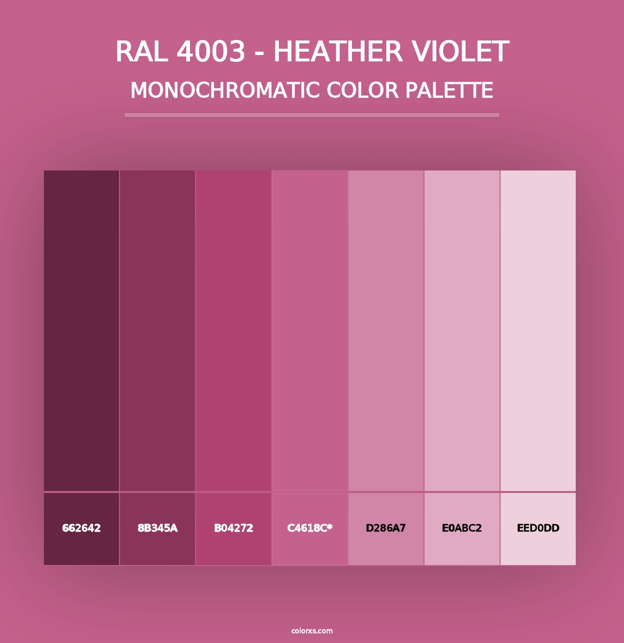 RAL 4003 - Heather Violet - Monochromatic Color Palette