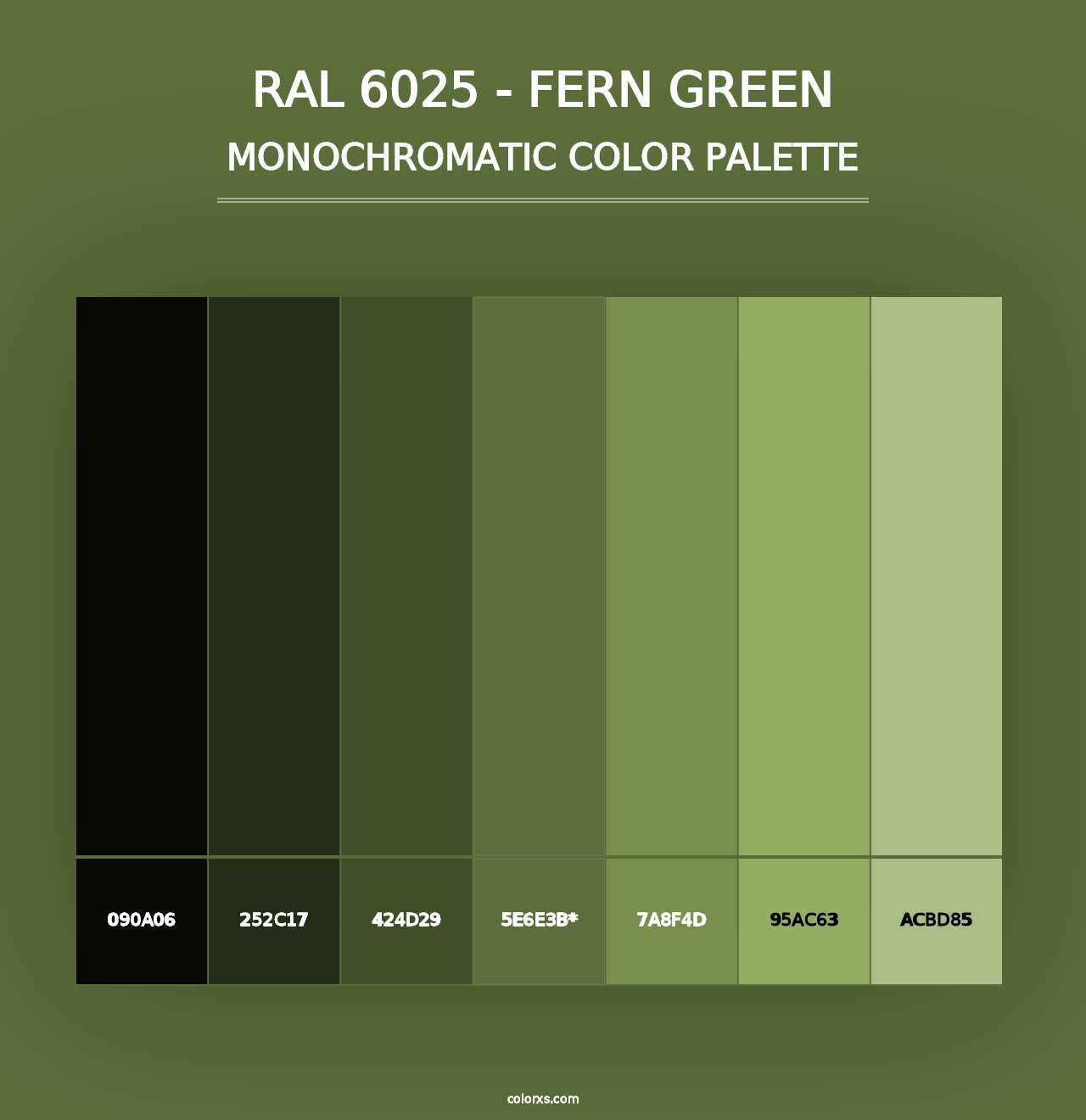 RAL 6025 - Fern Green - Monochromatic Color Palette