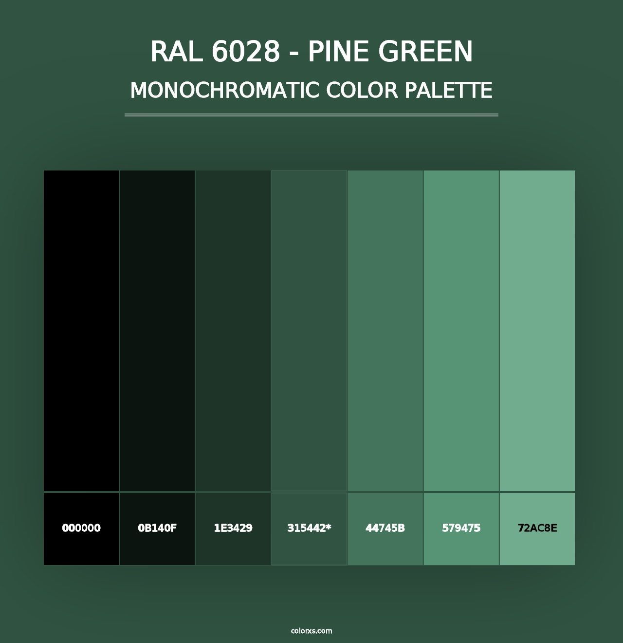 RAL 6028 - Pine Green - Monochromatic Color Palette