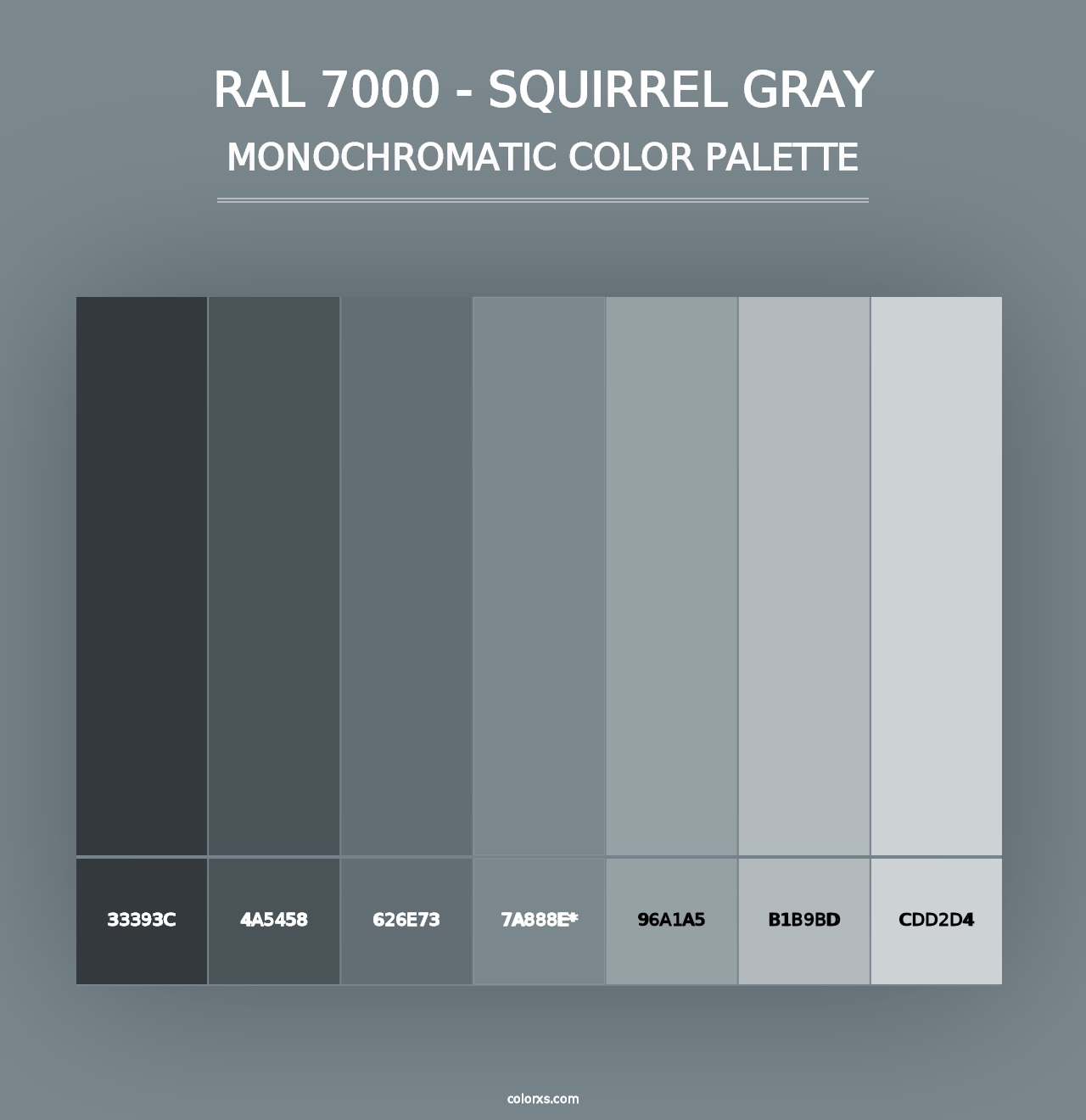 RAL 7000 - Squirrel Gray - Monochromatic Color Palette