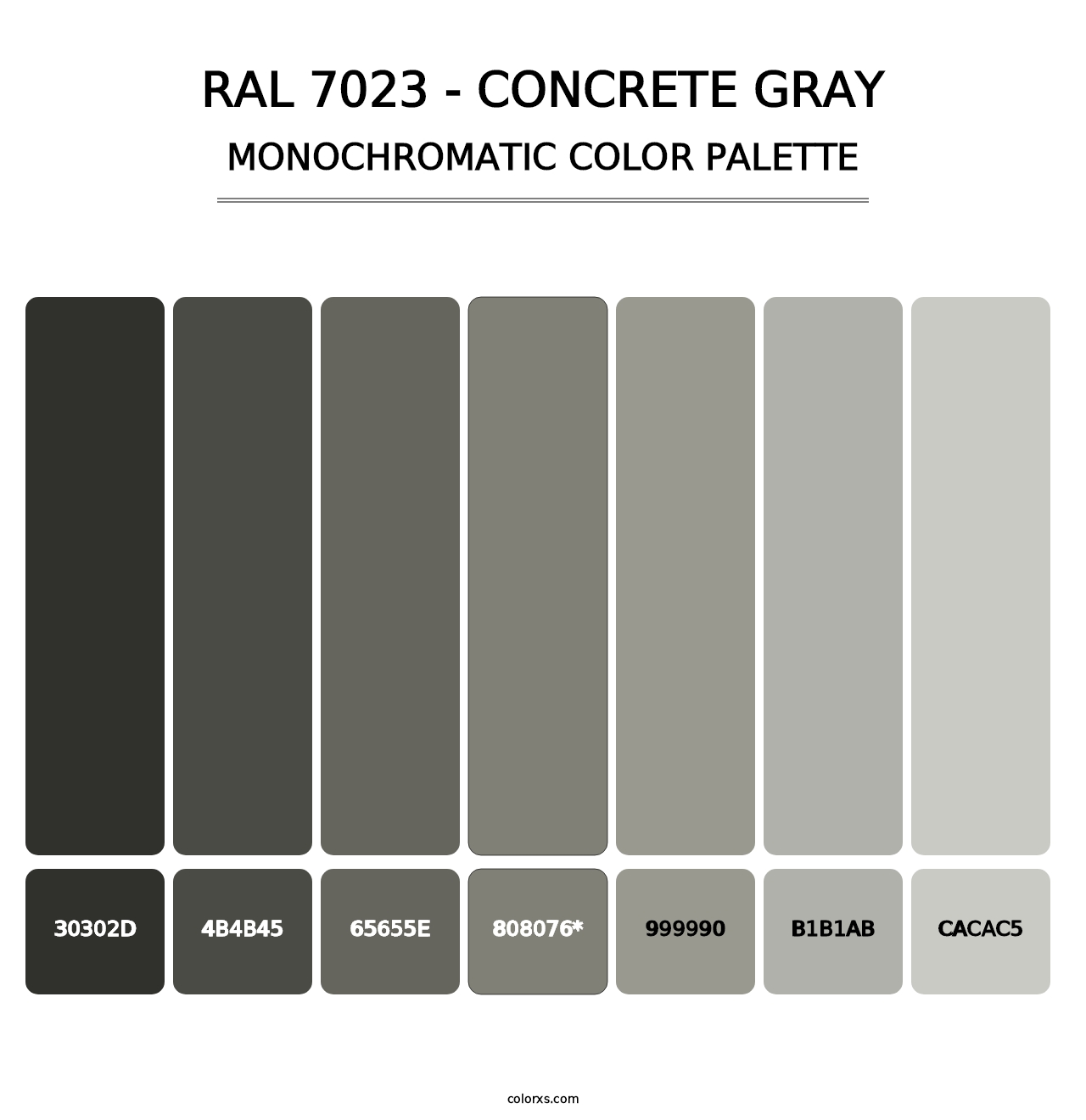 RAL 7023 - Concrete Gray - Monochromatic Color Palette