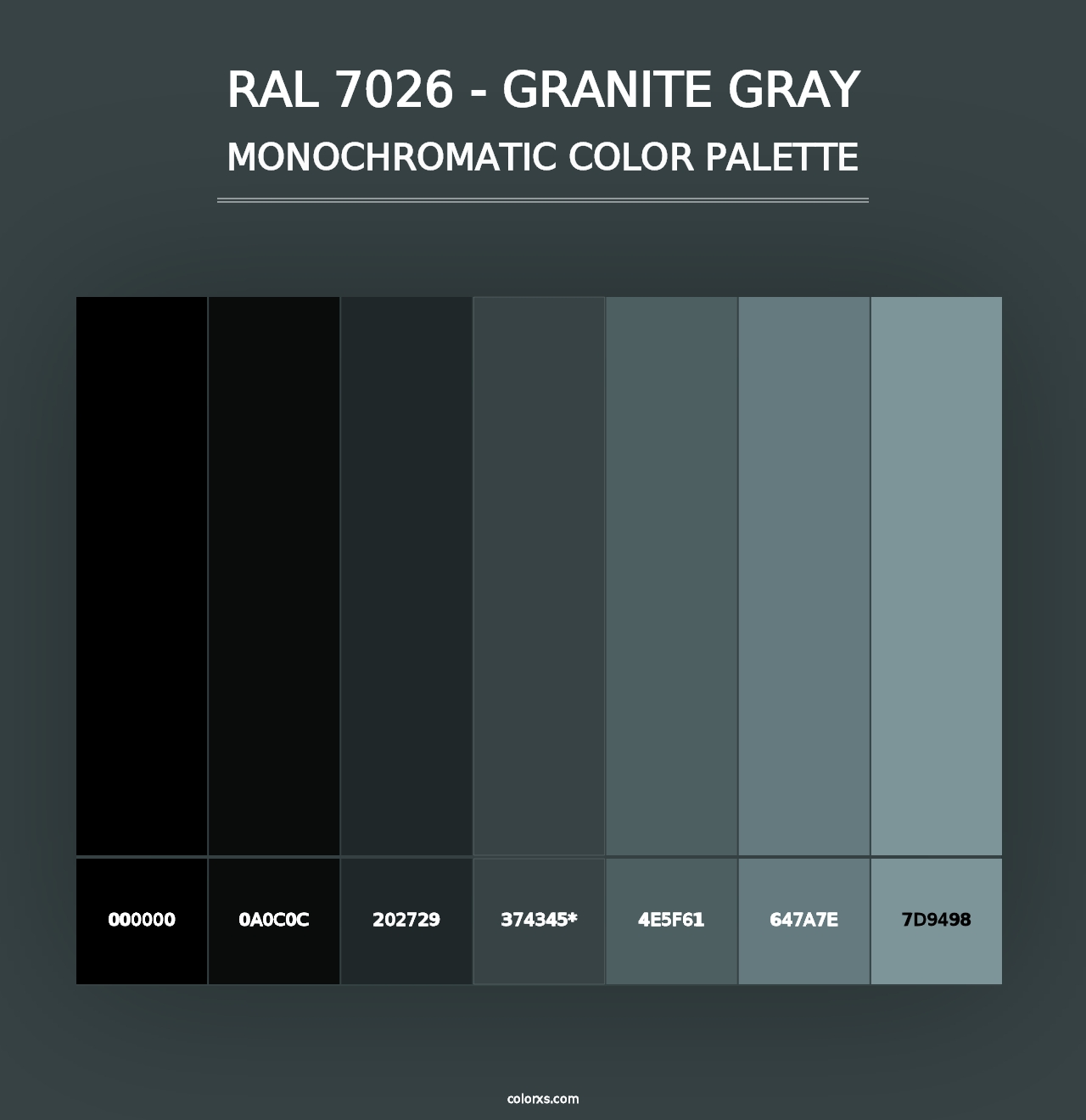 RAL 7026 - Granite Gray - Monochromatic Color Palette