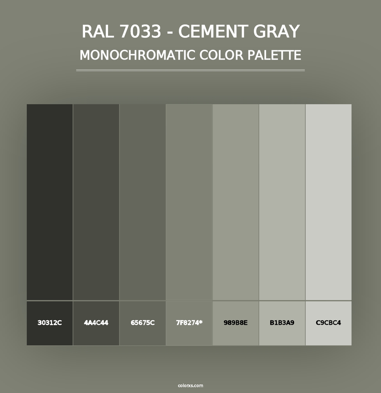 RAL 7033 - Cement Gray - Monochromatic Color Palette