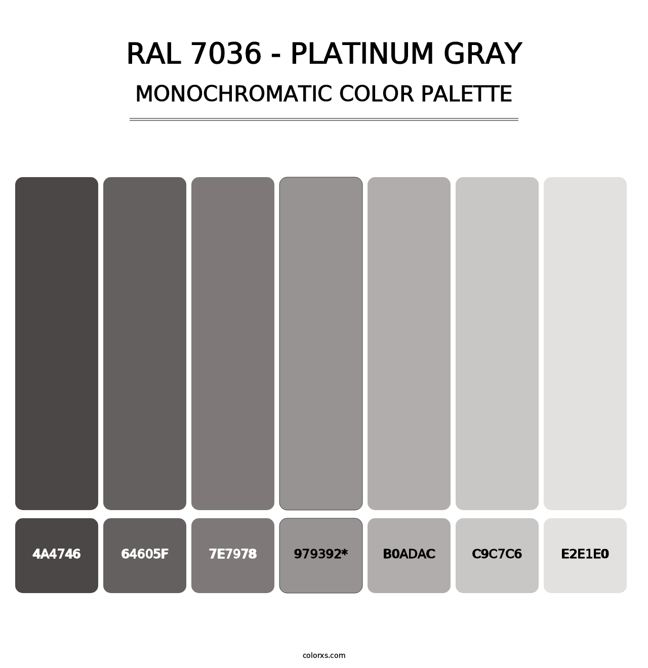 RAL 7036 - Platinum Gray - Monochromatic Color Palette