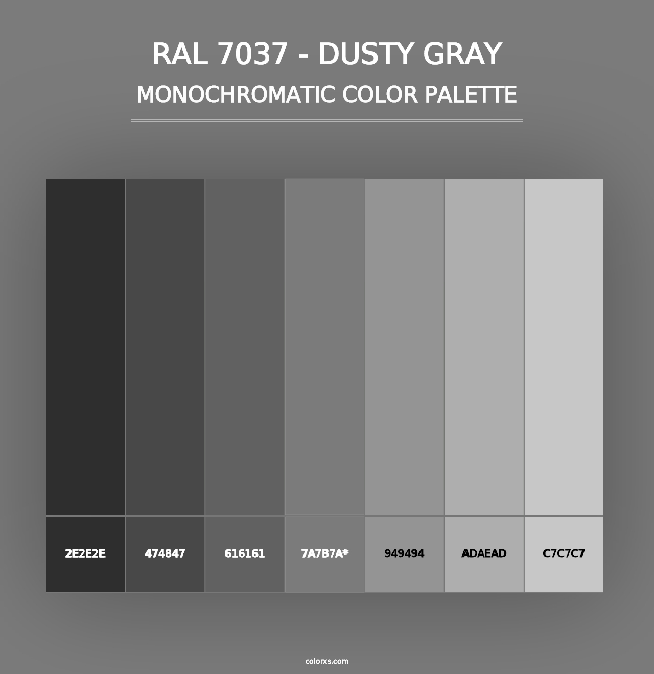 RAL 7037 - Dusty Gray - Monochromatic Color Palette