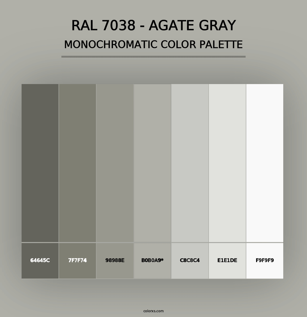 RAL 7038 - Agate Gray - Monochromatic Color Palette