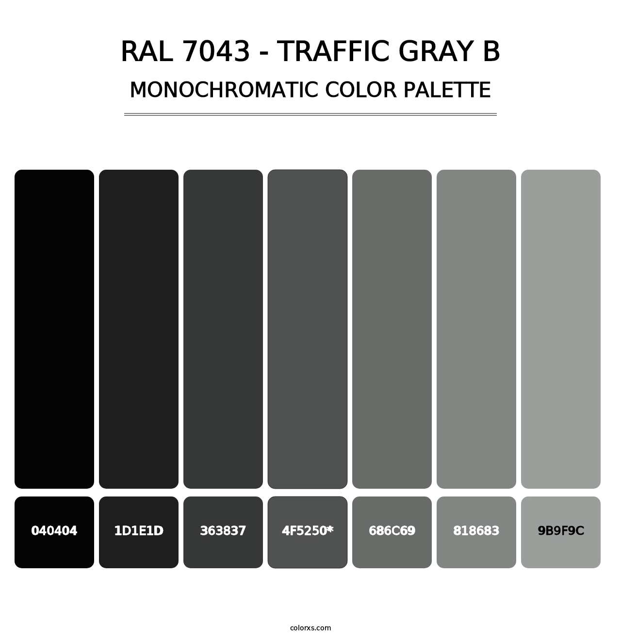 RAL 7043 - Traffic Gray B - Monochromatic Color Palette