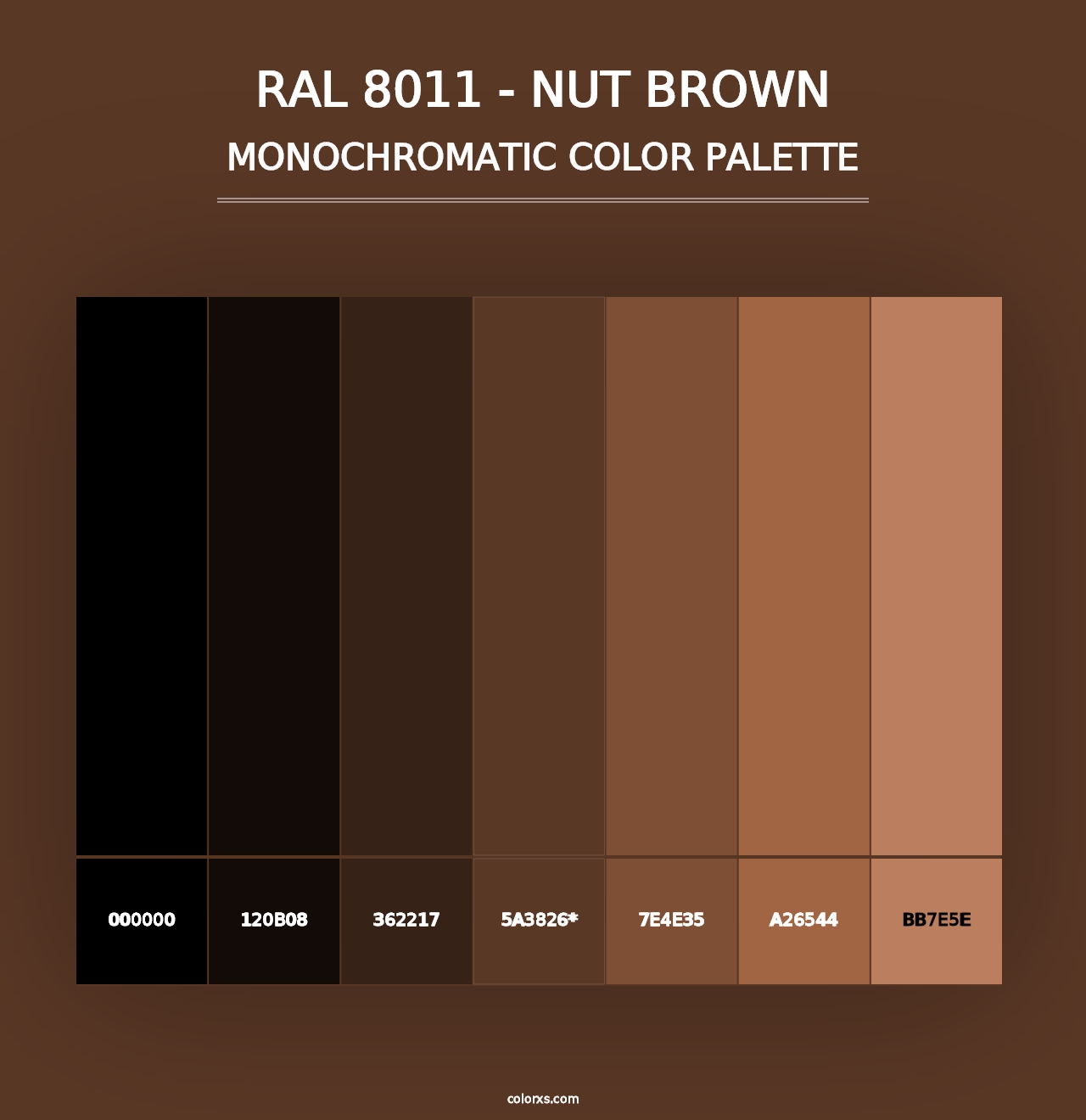 RAL 8011 - Nut Brown - Monochromatic Color Palette