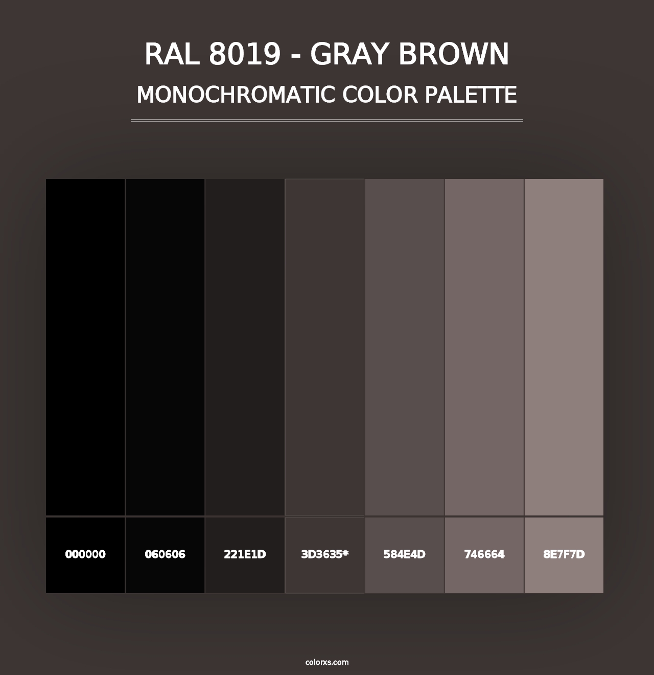 RAL 8019 - Gray Brown - Monochromatic Color Palette