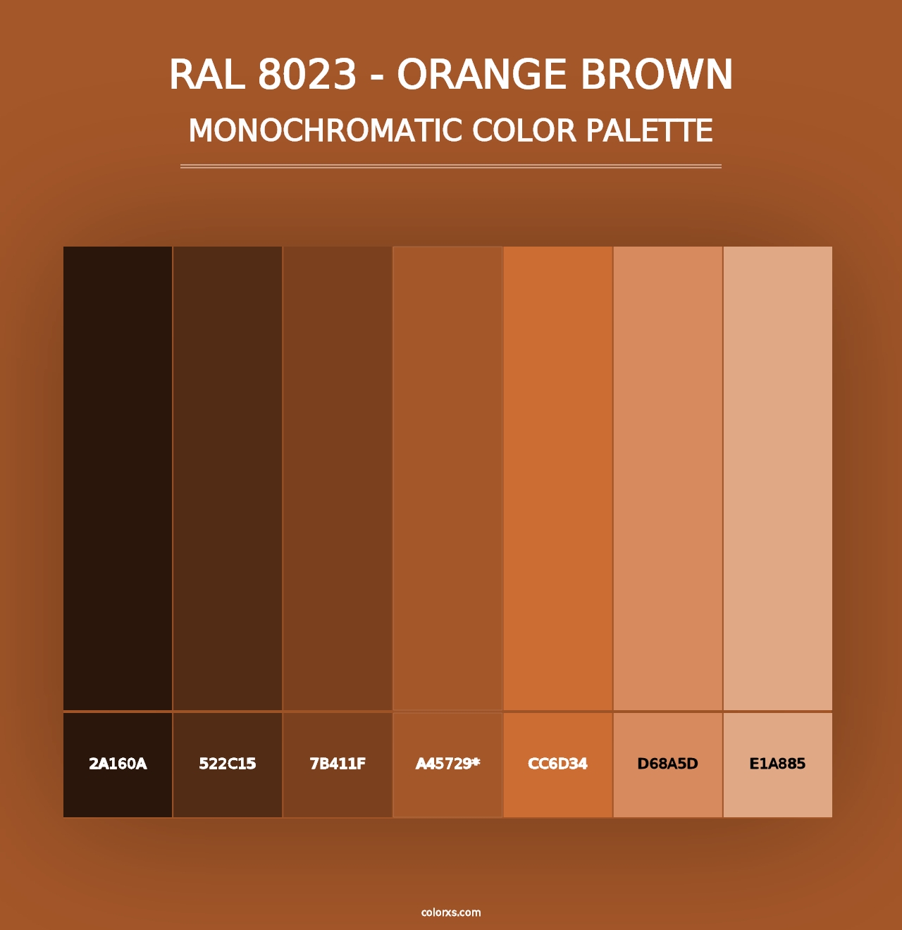 RAL 8023 - Orange Brown - Monochromatic Color Palette